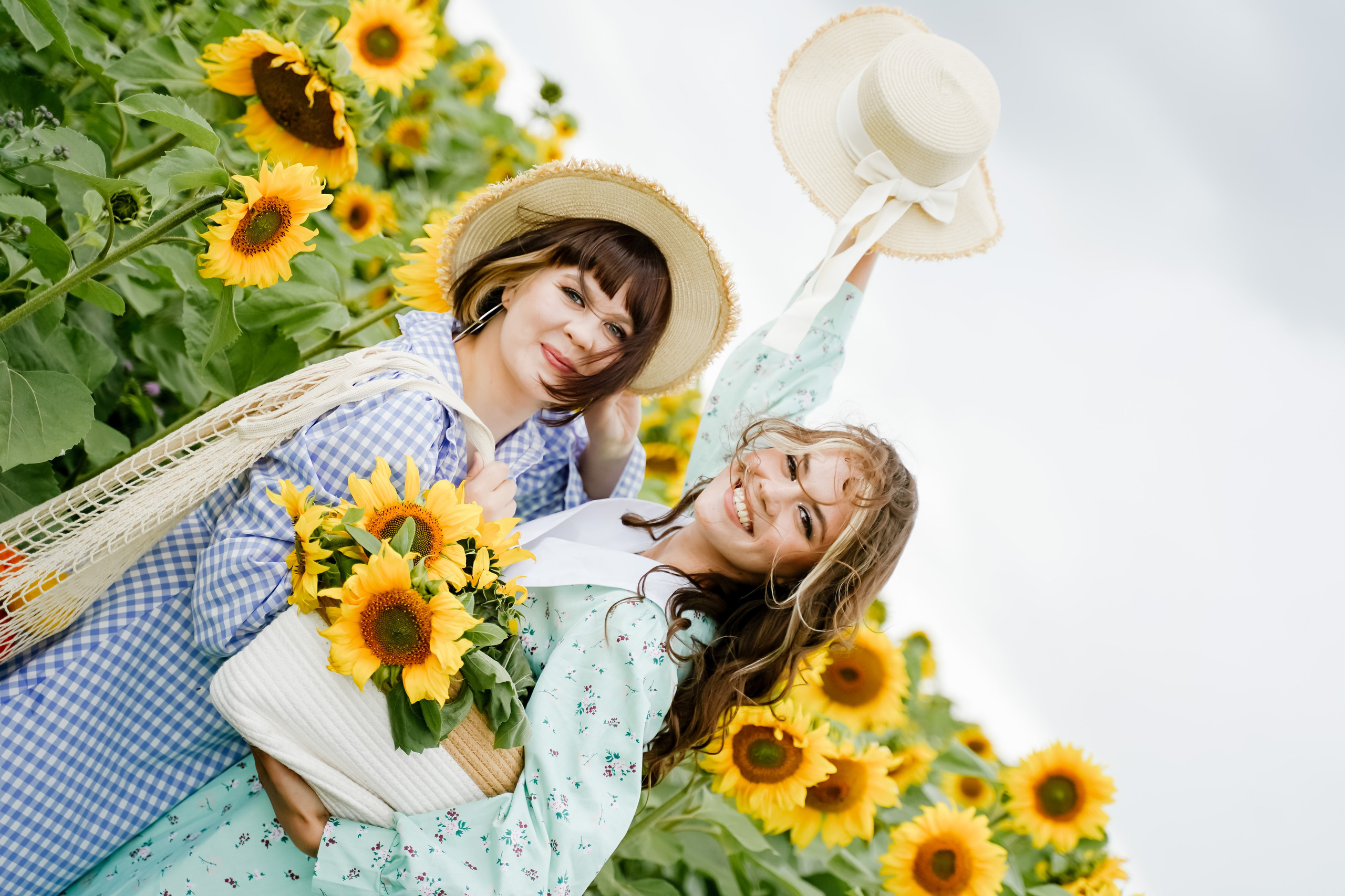 Подсолнухи. Бирск