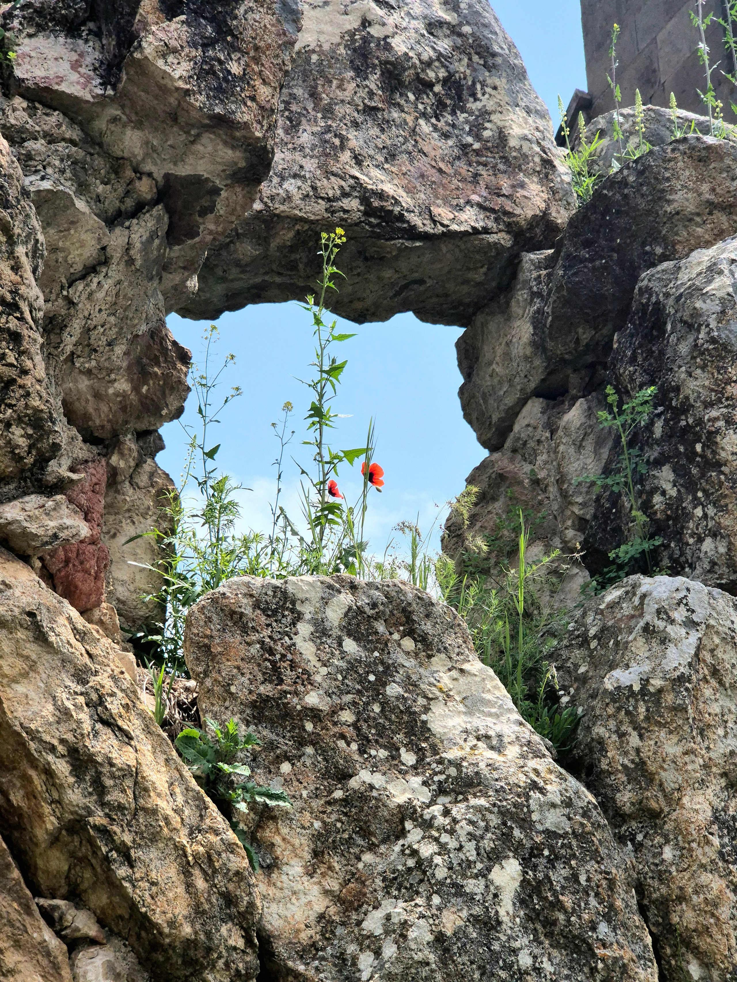 На улице разогрелась летняя жара