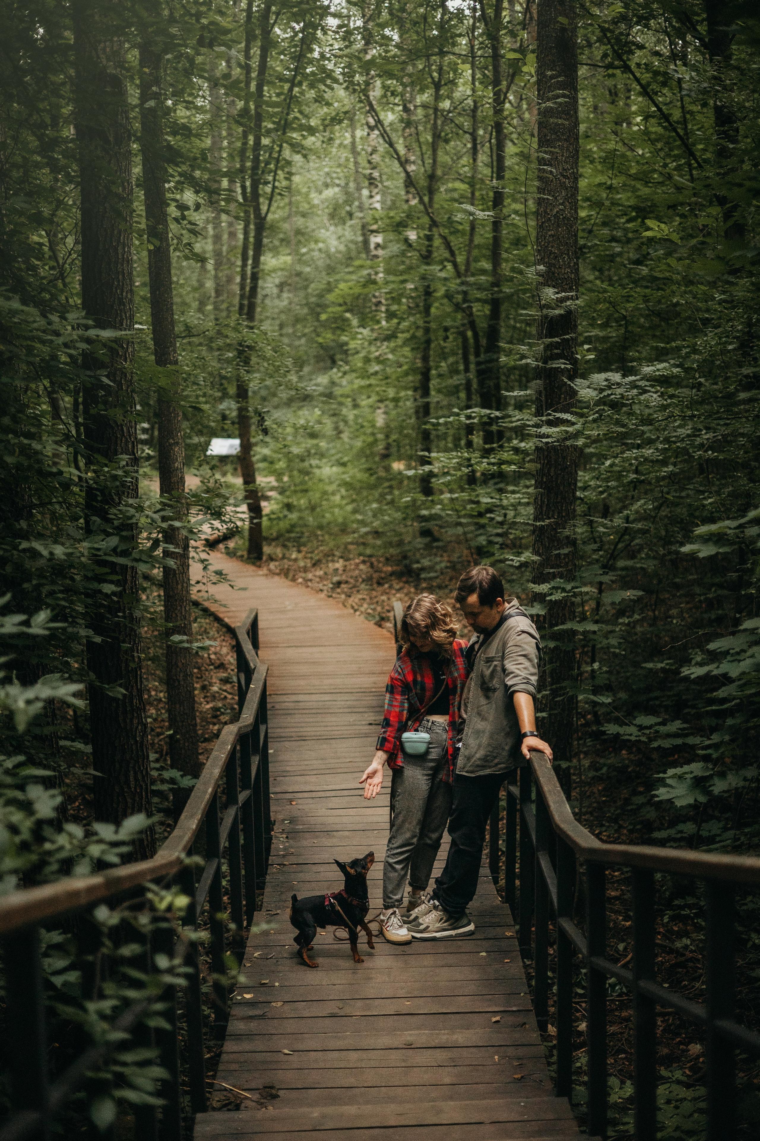 Сириус и его семья. Фотограф — Анималист | Санкт-Петербург