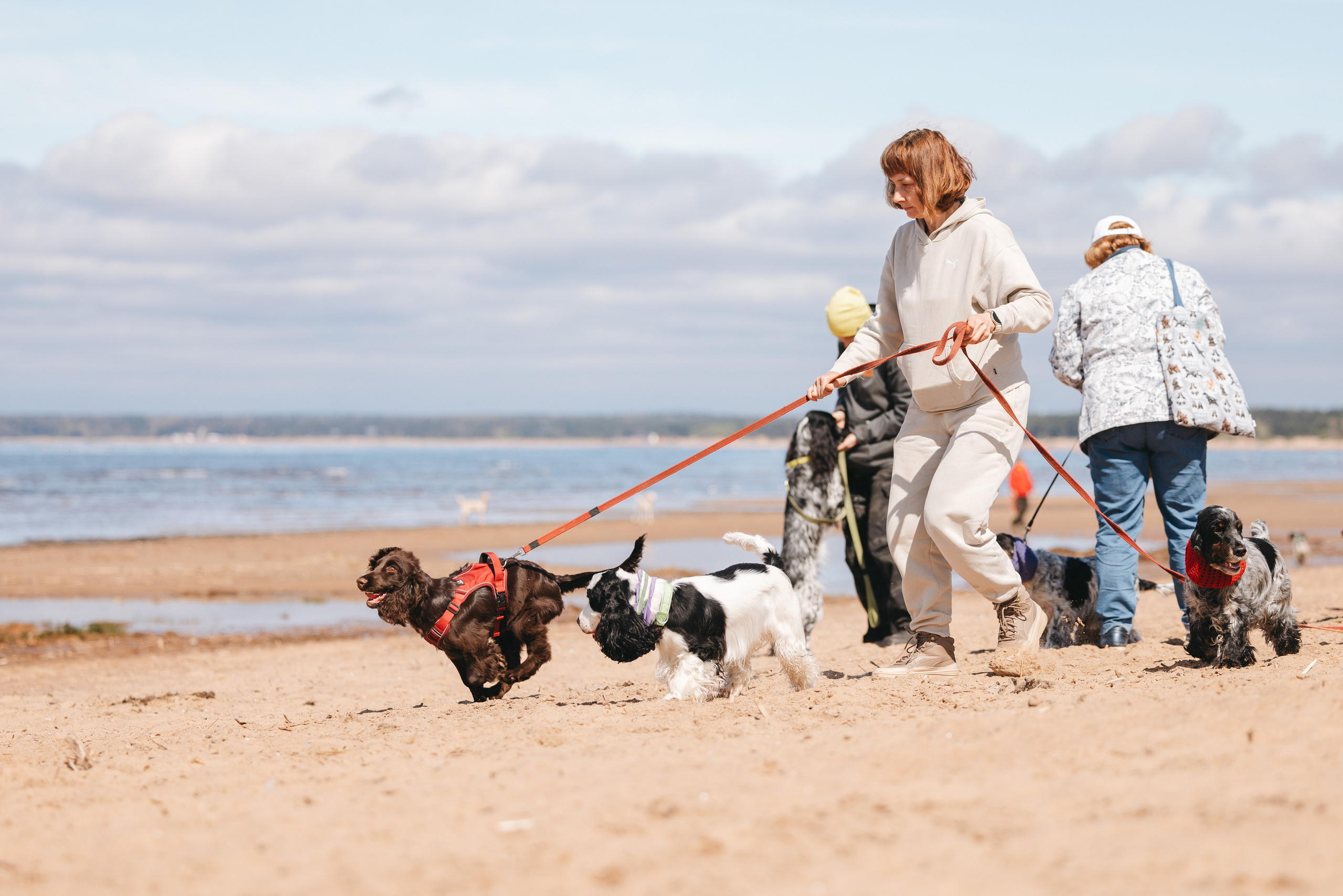 Спанимания. Фотограф анималист Осипчикова Мария