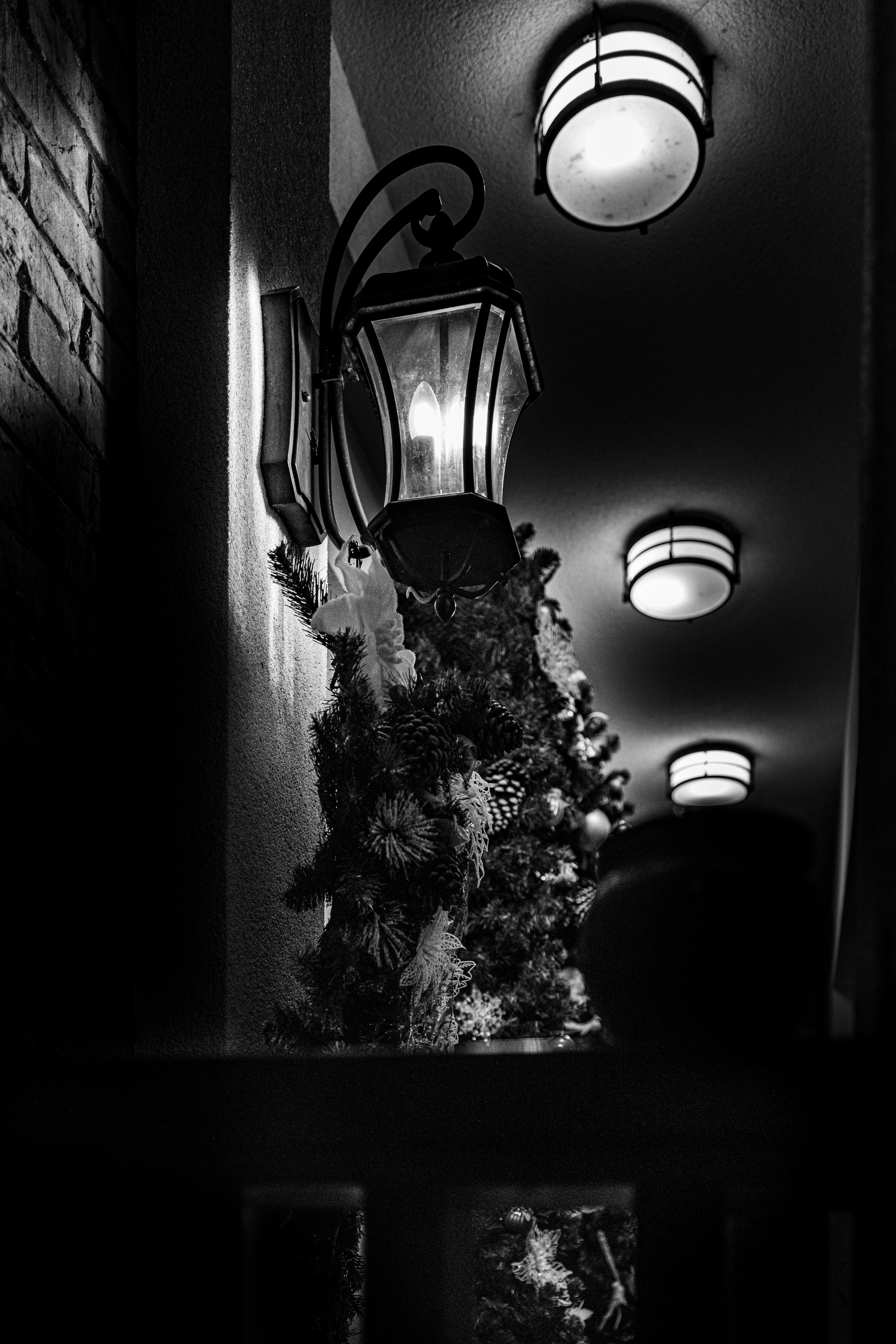 Природа 31 Декабря 2025 года. Клены. Фотографирую жизнь! Московский фотограф волонтер