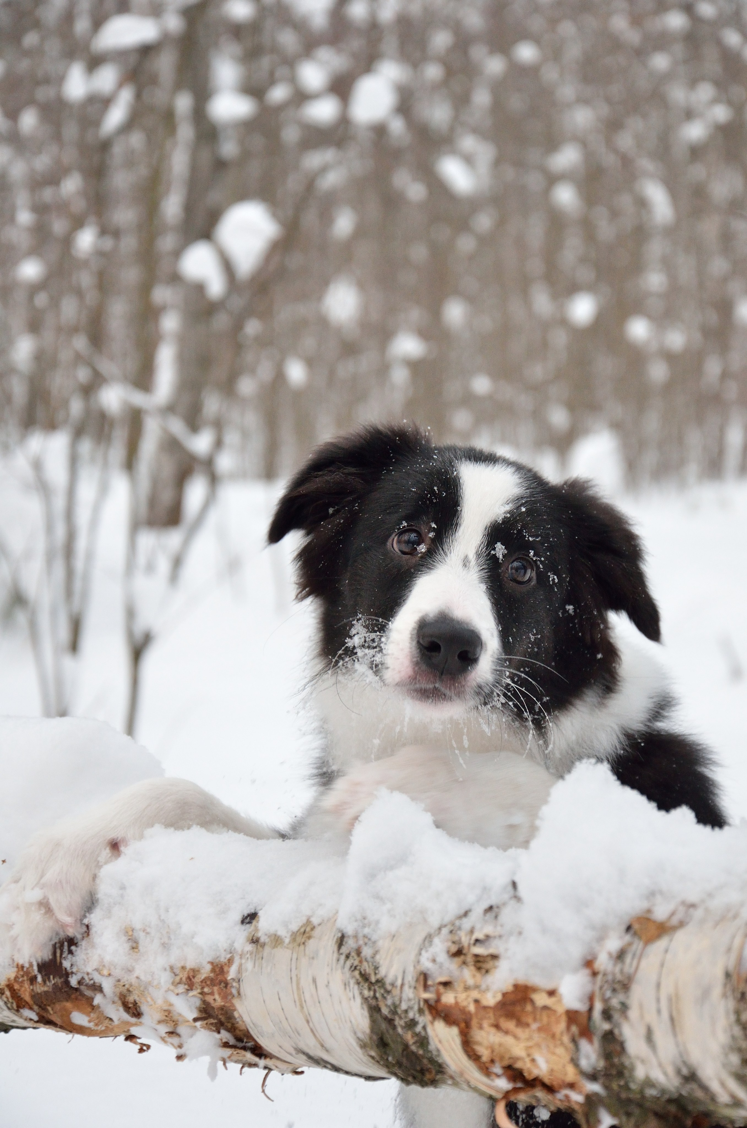 Муня. Добро пожаловать на мой сайт, меня зовут Наталия, я фотограф