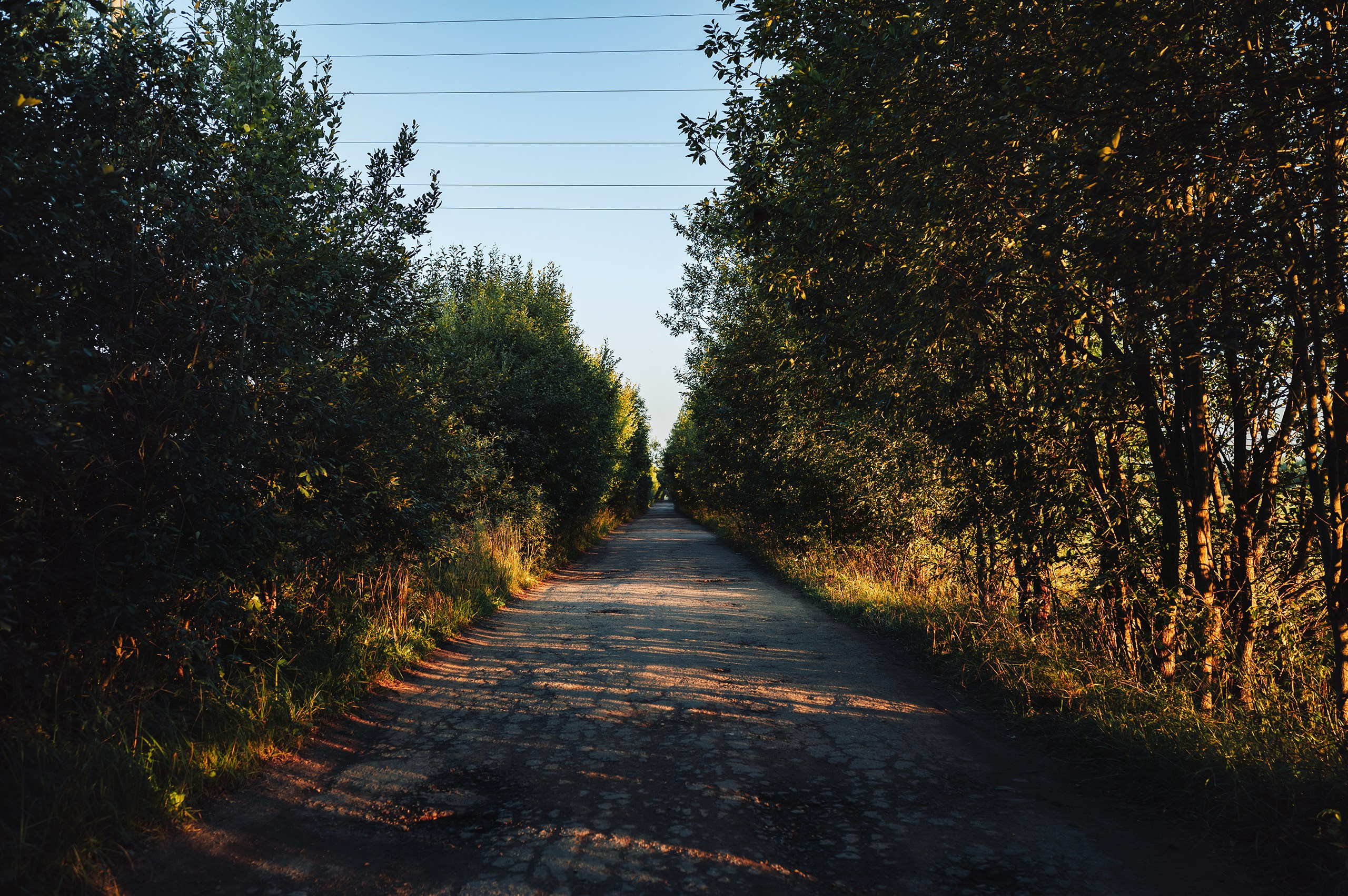 Невидимый спектр. Komonev