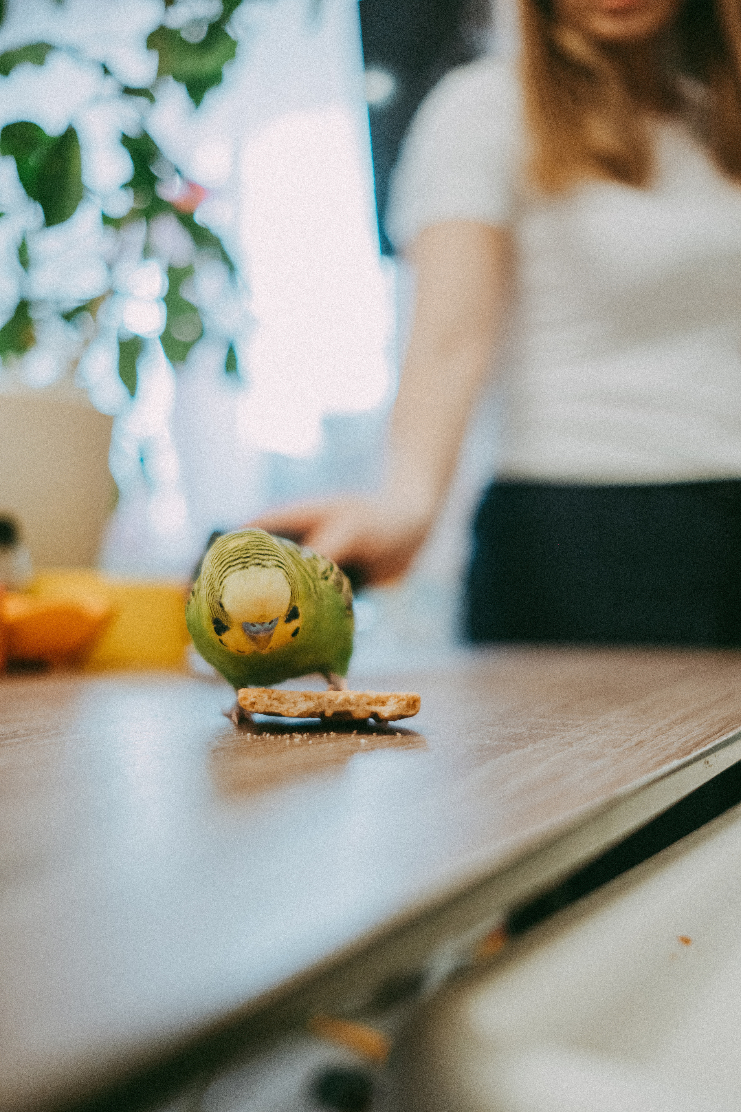 Домашняя съёмка у Алии. Семейный фотограф Уфа Головченко Анастасия
