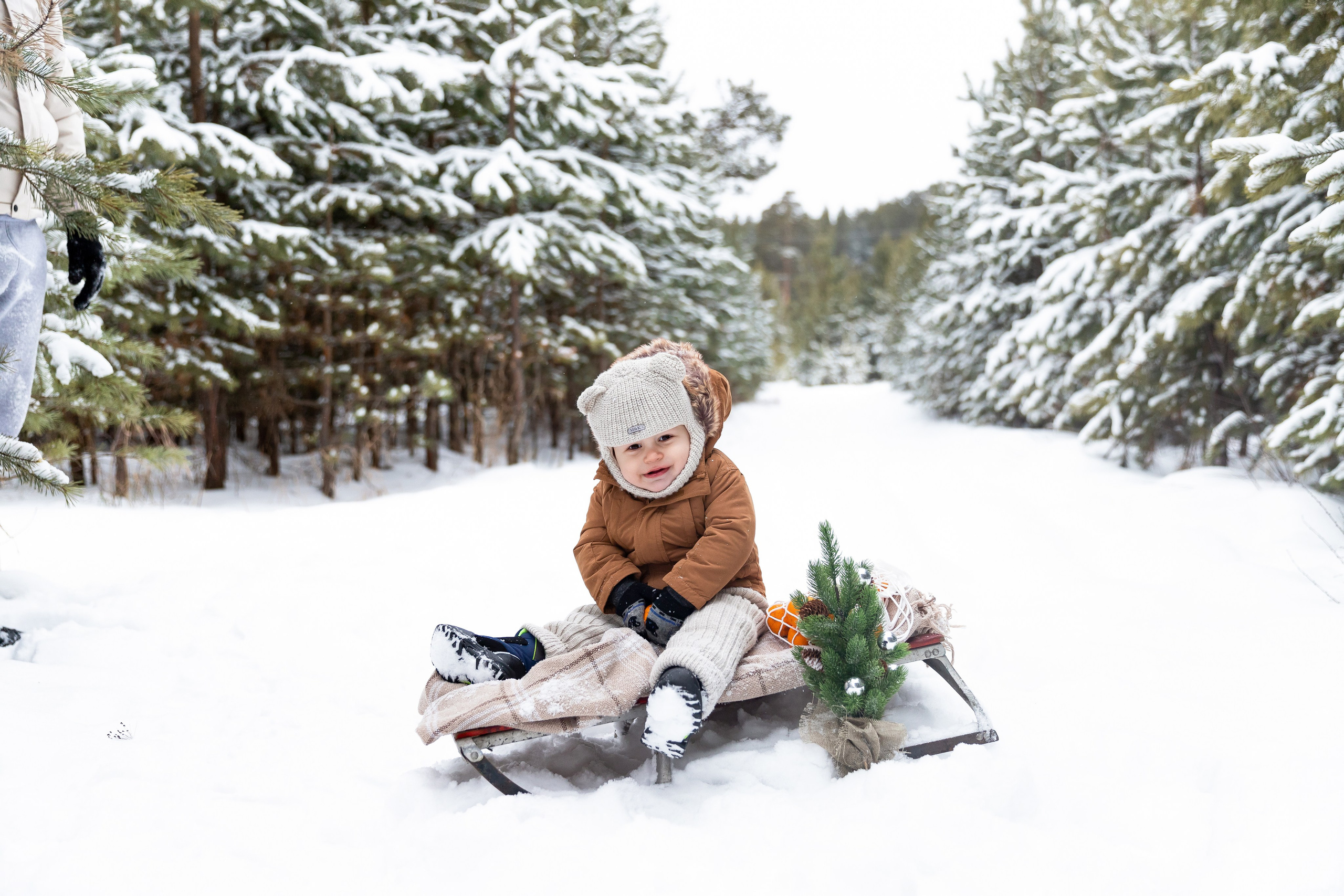 Саша, Влад и Семён. Семейный фотограф в Екатеринбурге и Красноуфимске Евгения Лягаева
