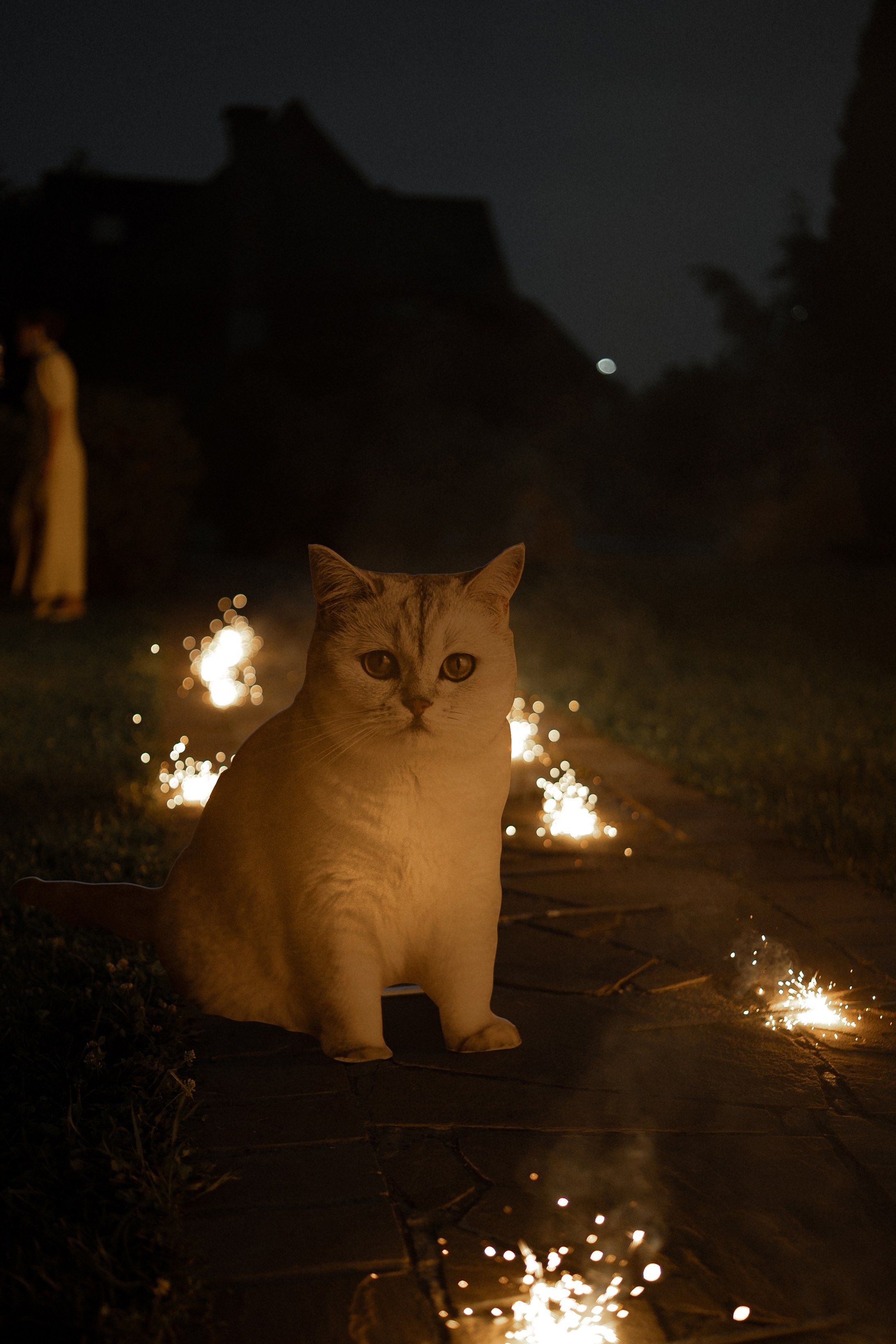 К+А Полный день (сокращено). Семейный и портретный фотограф в Саратове Сахарова Маша