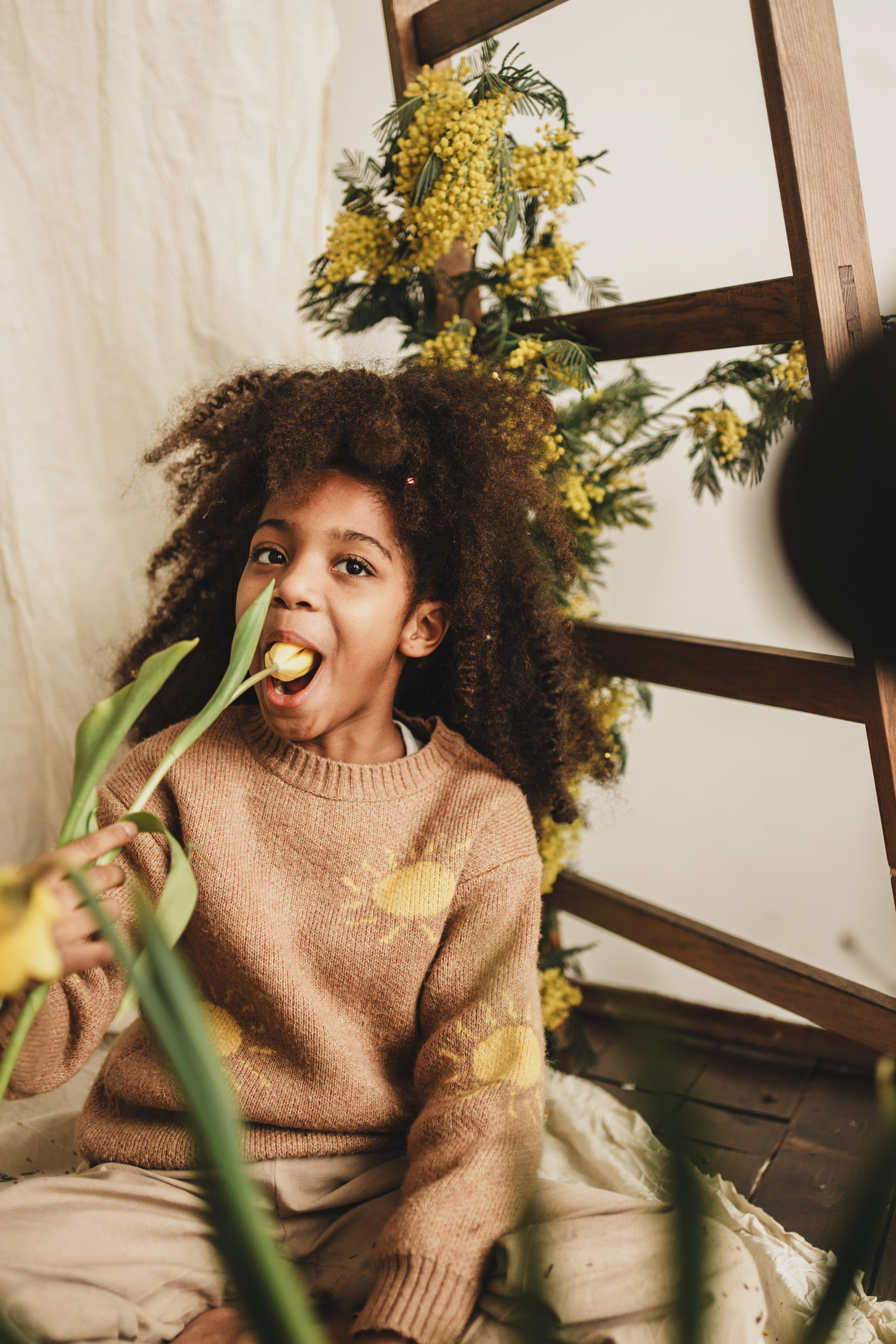 Семейные. Семейный и детский фотограф и видеограф в Москве, Серпухове и Тарусе Валерия Сорокина