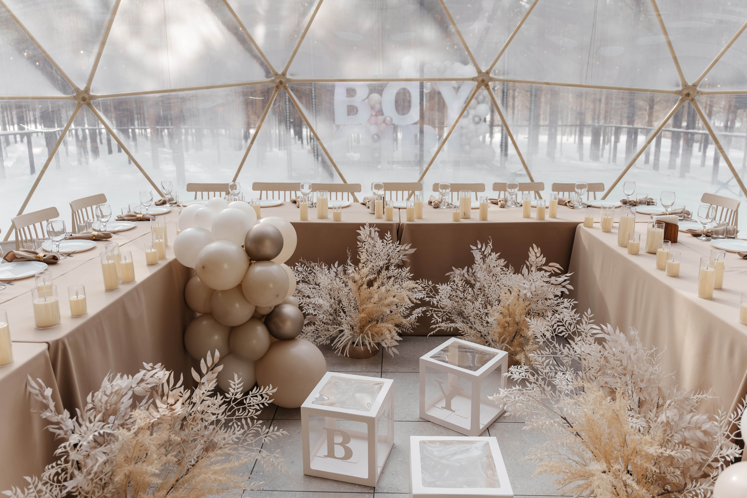 Gender Party Шервуд. Фотограф Кирилл Бабий