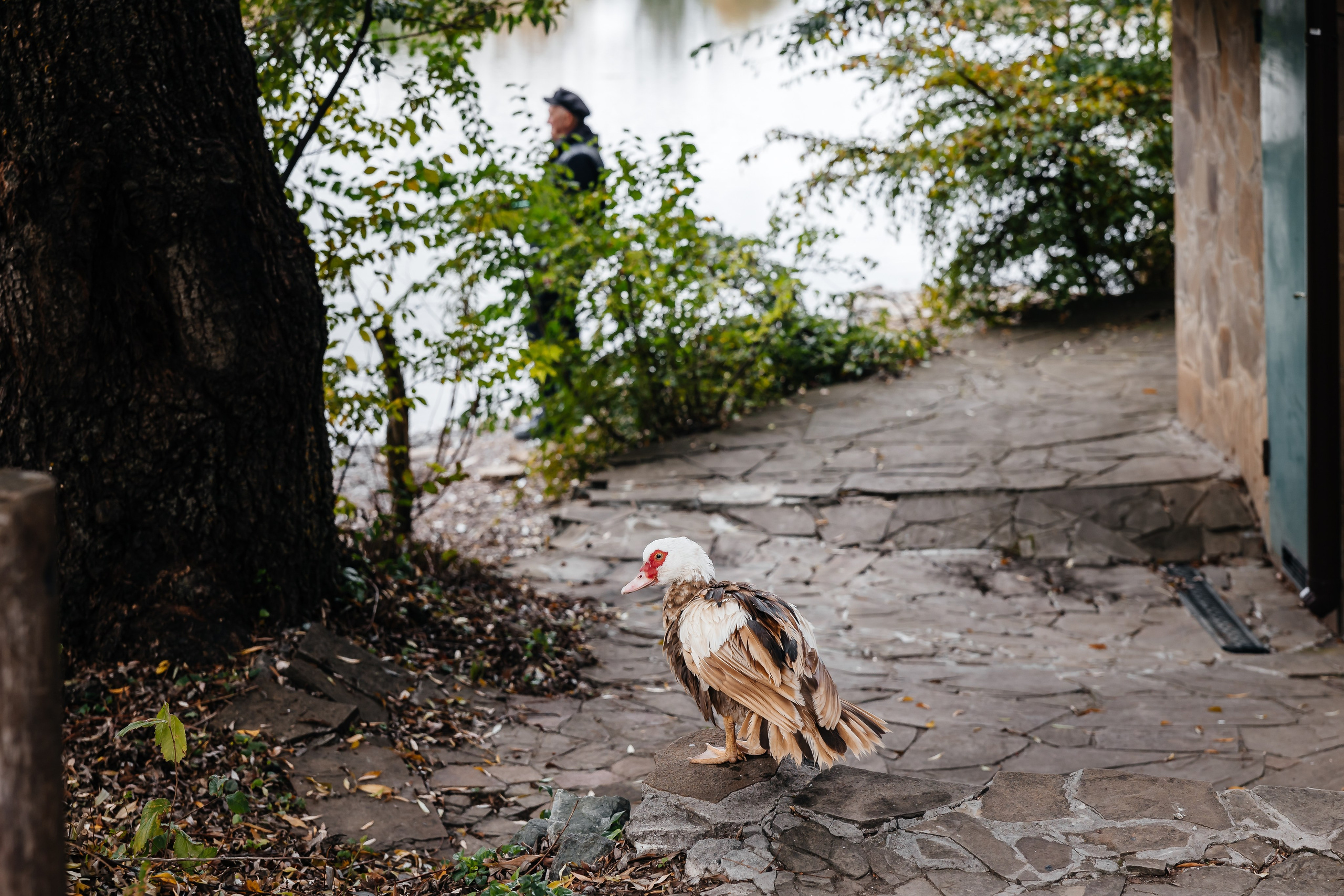 Анонс свадьбы для Юлии и Александра. Свадебный фотограф в Крыму и Севастополе Ольга Баскакова