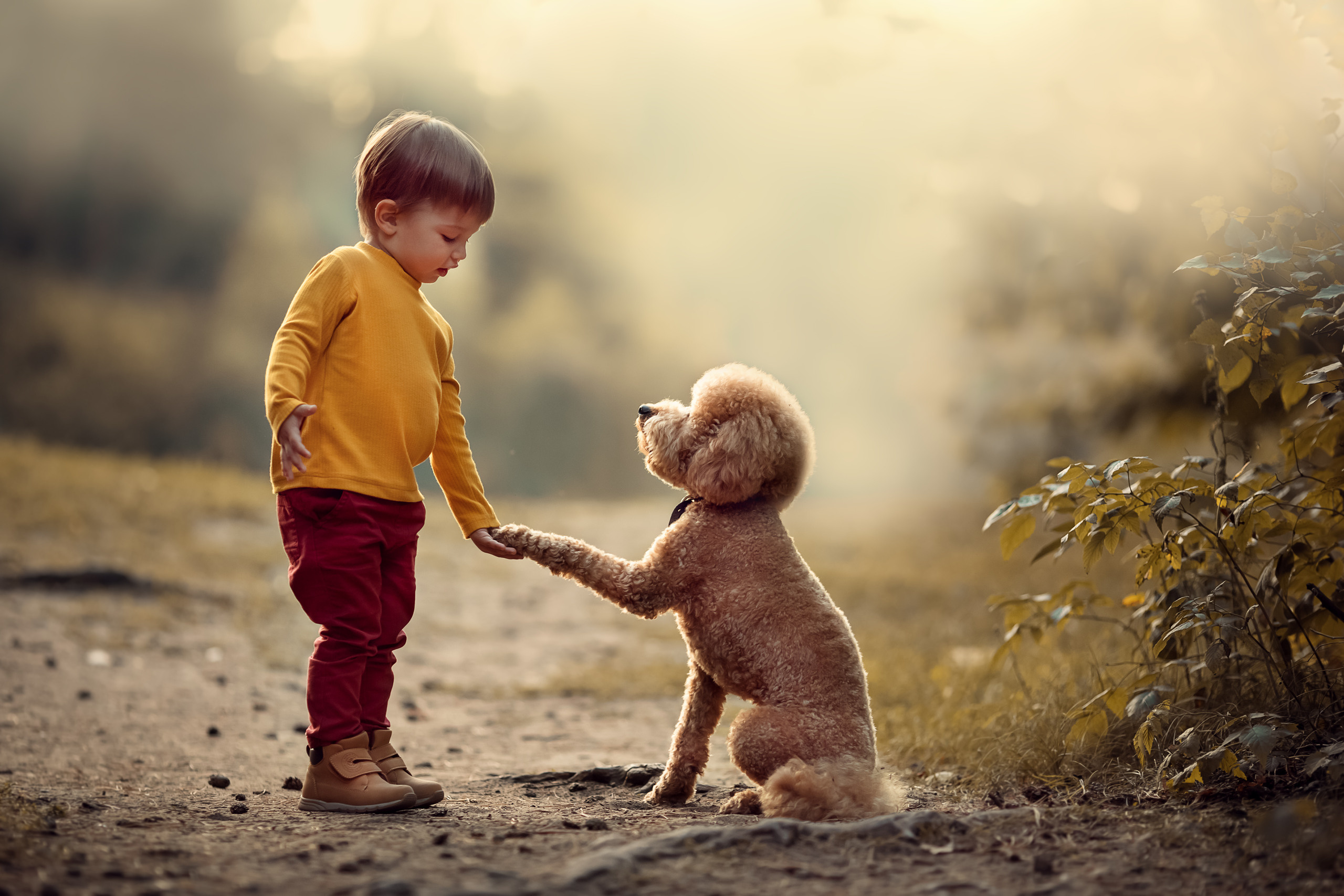 Семейный и детский фотограф в Москве и по всей России Храпова Юлия