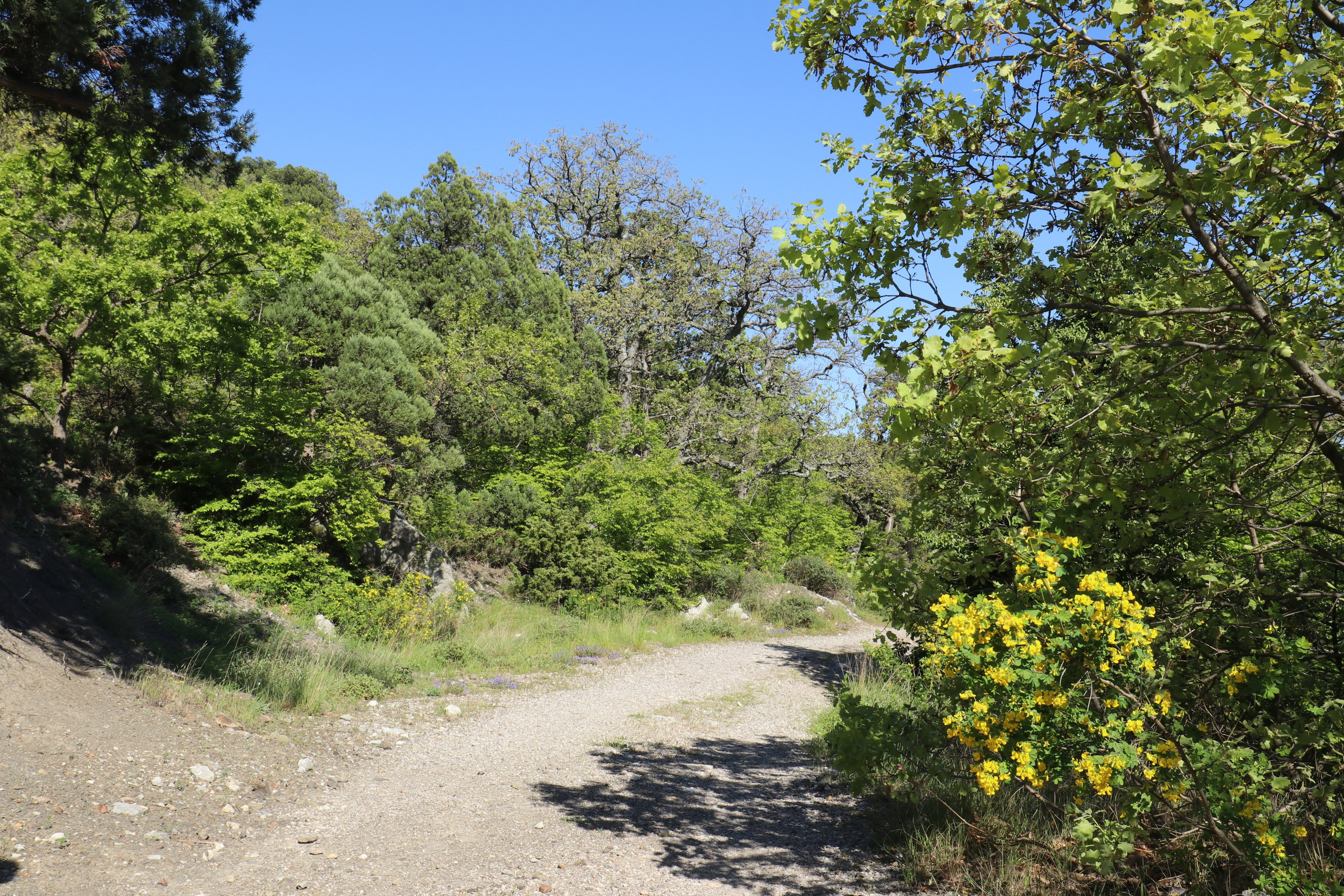 Крым. ЮБК (Севастополь, Кастрополь, Ялта). Май 2023. Путешественник-фотограф из Санкт-Петербурга Татьяна Свистулина