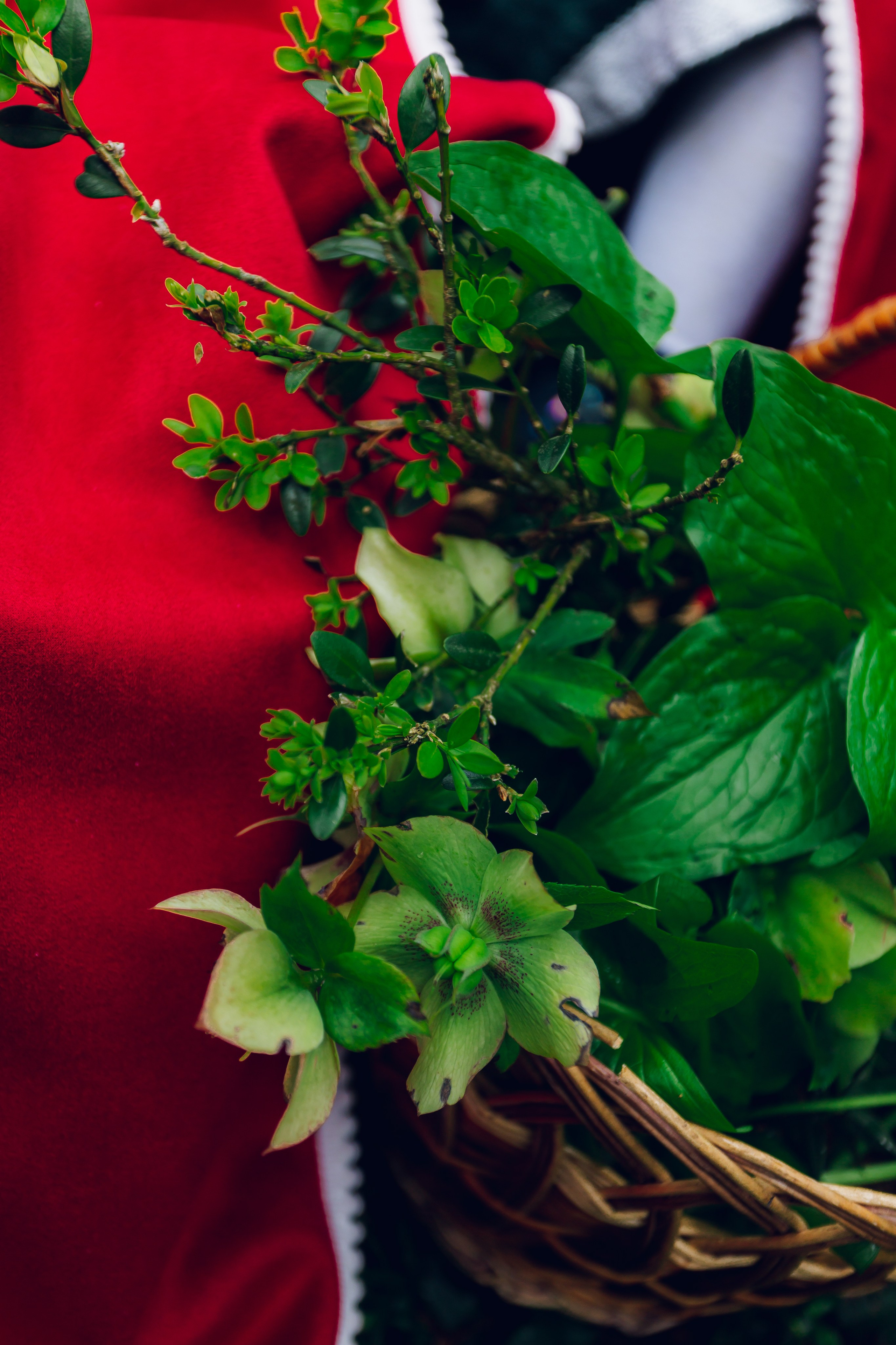 Самшитовая роща. Семейный и художественный фотограф в Тюмени Юлия Логинова