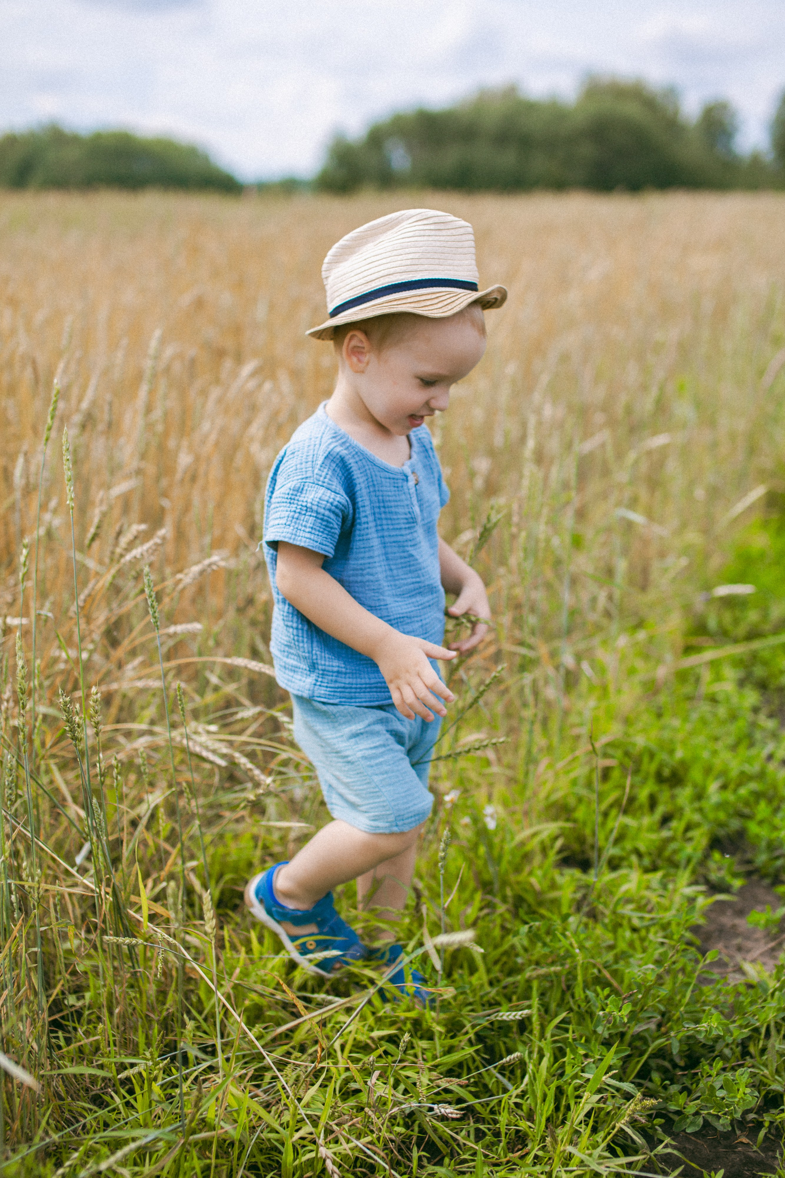 Золотистая пшеница. Семейный и художественный фотограф в Тюмени Юлия Логинова