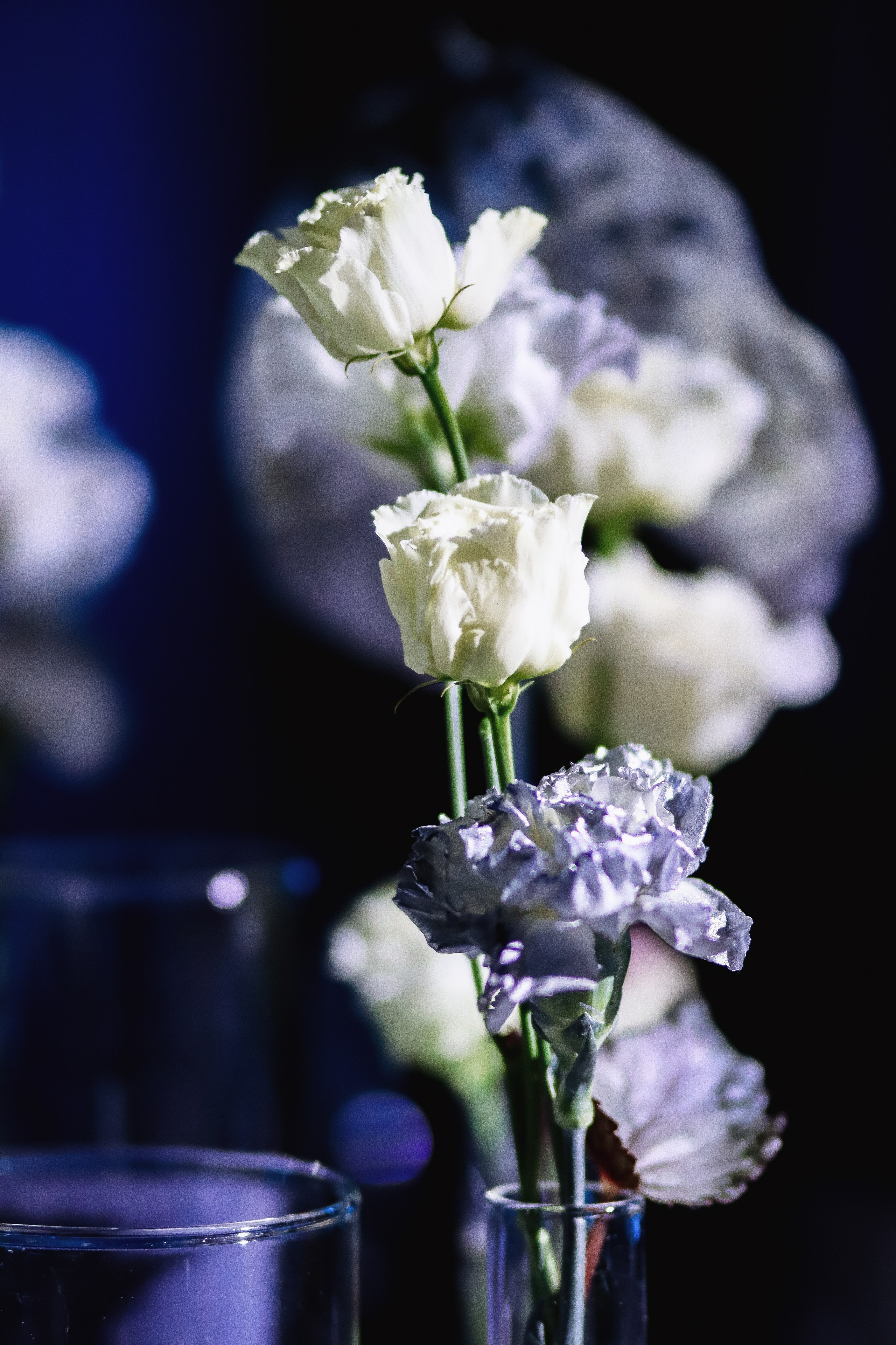 Атмосфера | Юбилей 70 лет. ФОТОГРАФ ЕКАТЕРИНБУРГ