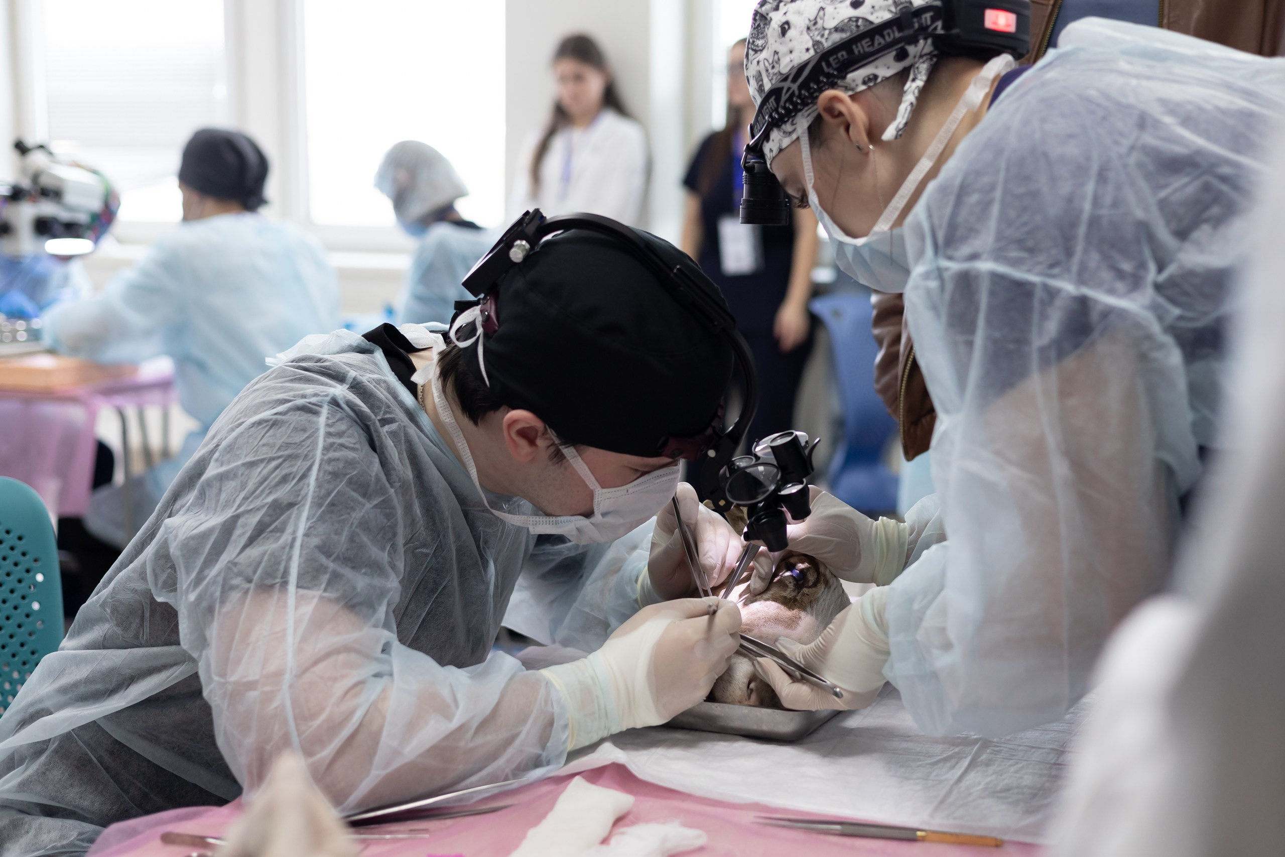 III Дальневосточная региональная олимпиада по детской хирургии. Главная