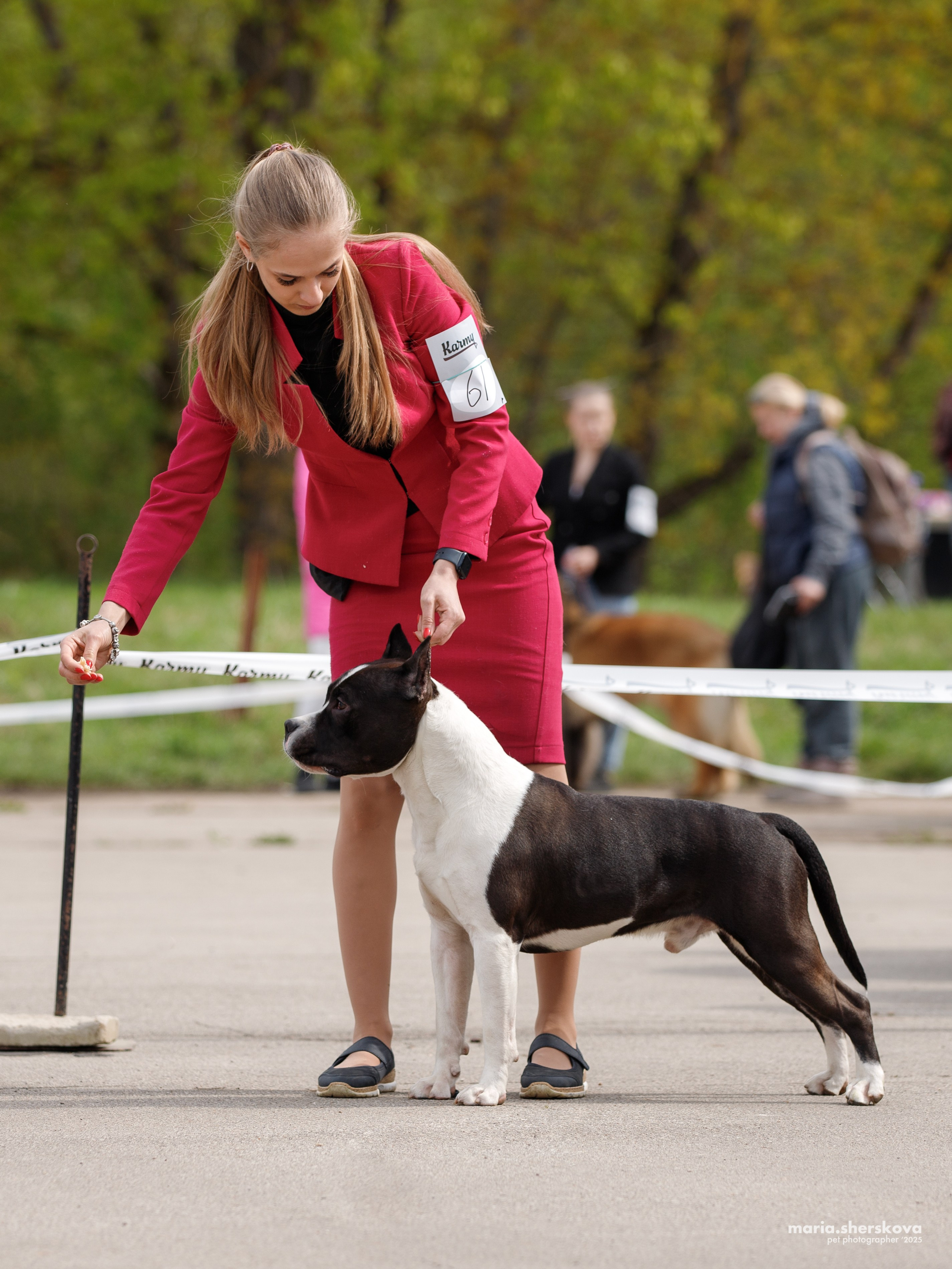 Выставки. Фотограф-анималист в Калуге Мария Шерскова