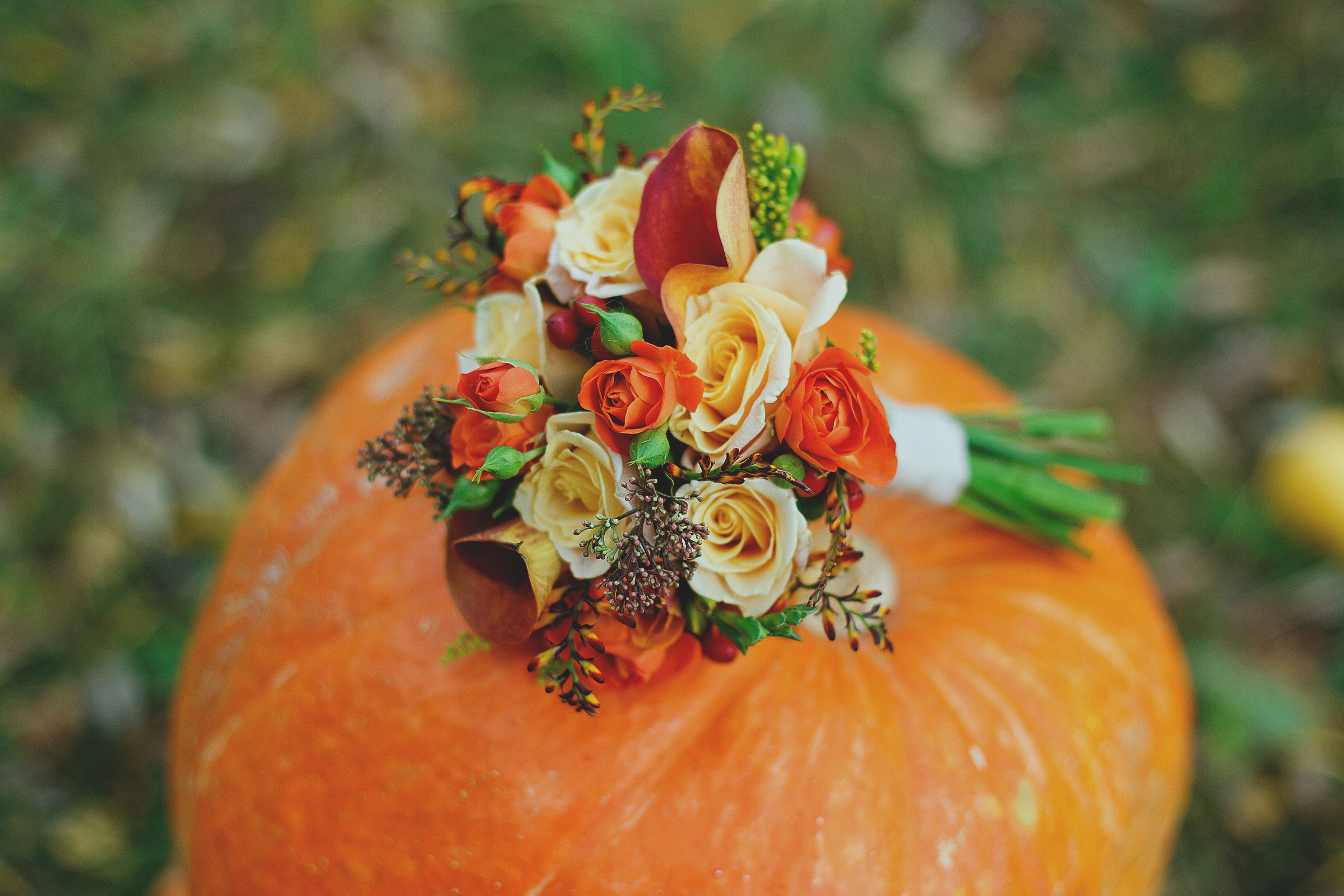 Павел и Елена. Евгения Орлова