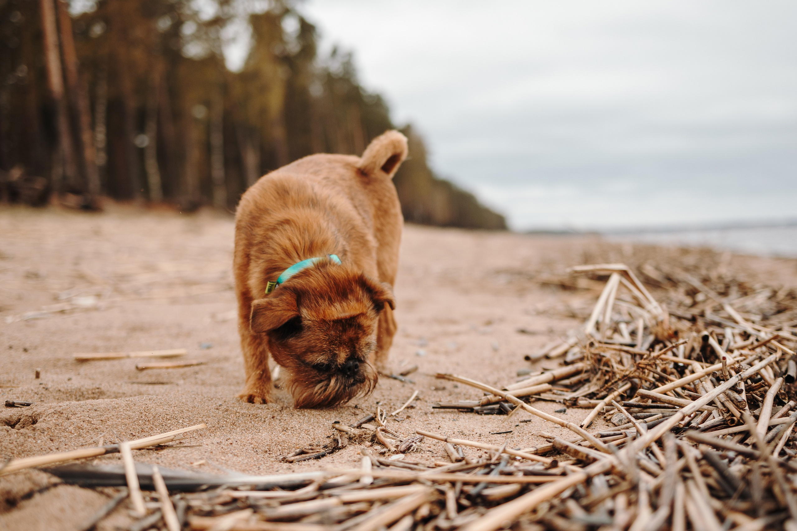 Вера и ее семья. Фотограф — Анималист | Санкт-Петербург