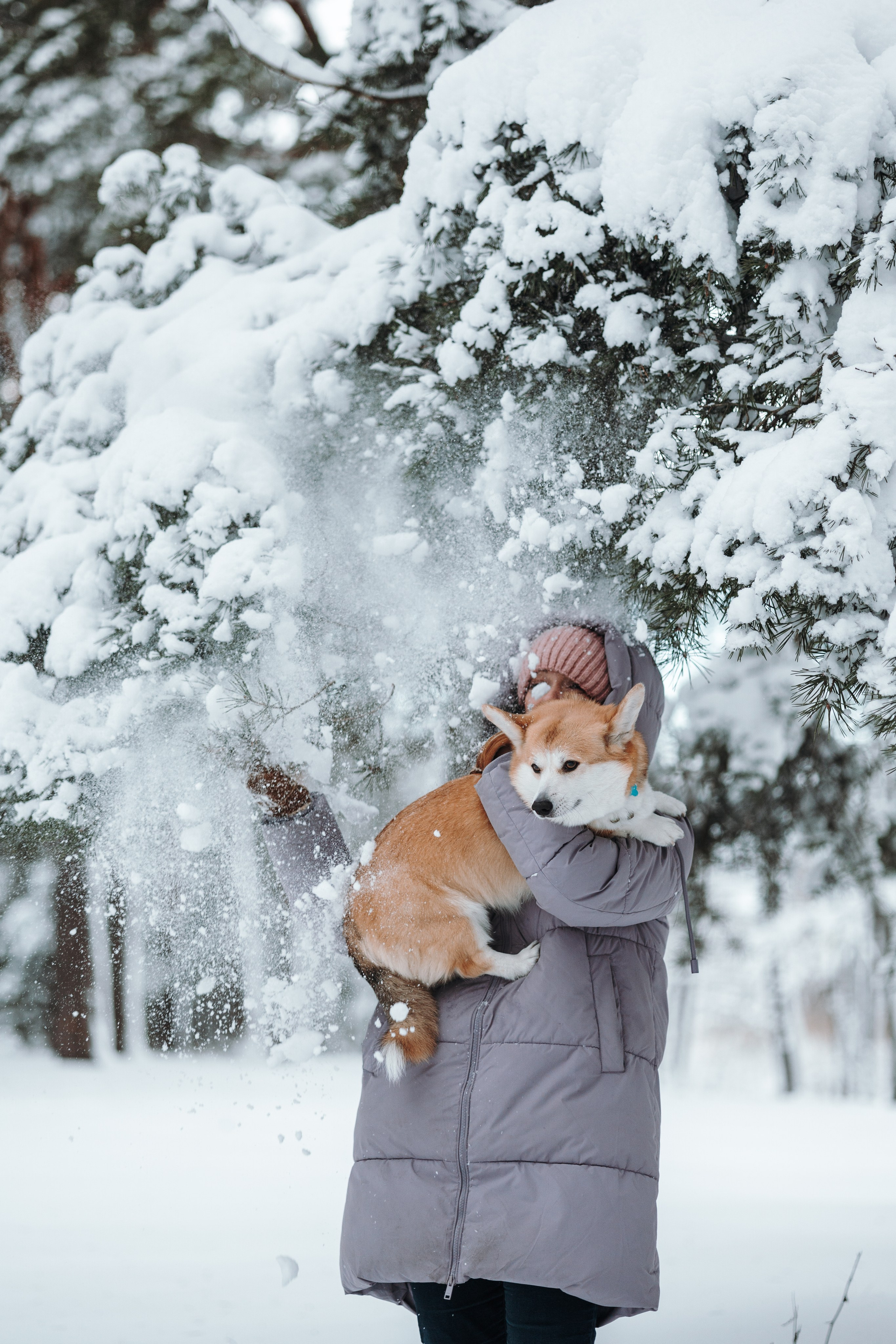 Оливка и ее семья. Фотограф — Анималист | Санкт-Петербург