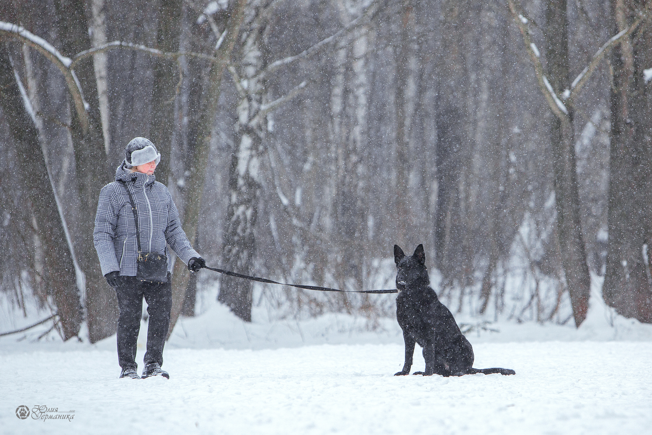 Свободная съемка. Фотограф-анималист Юлия Германика