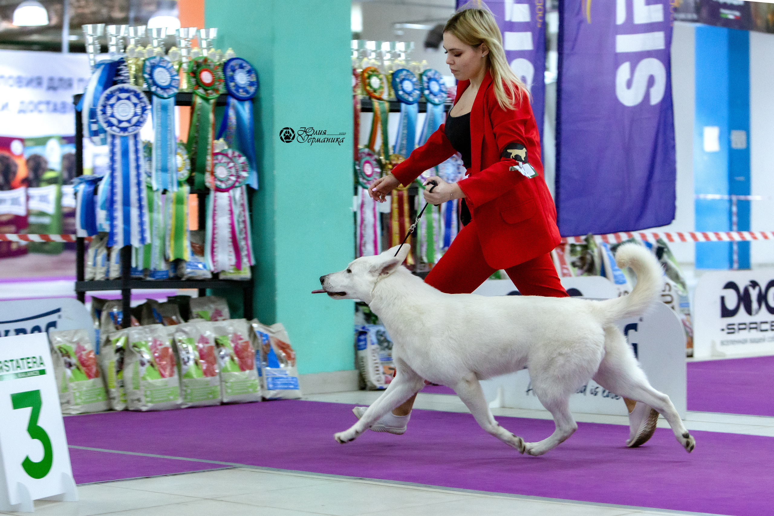 Чайна-Таун 29-30 января 2022. Фотограф-анималист Юлия Германика
