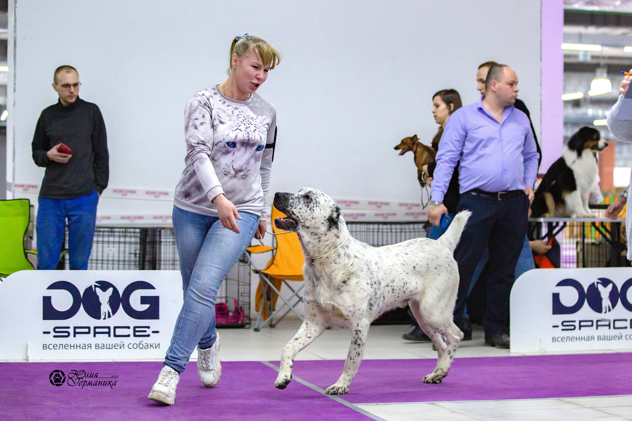 Чайна-Таун 24 и 27 марта 2022. Фотограф-анималист Юлия Германика