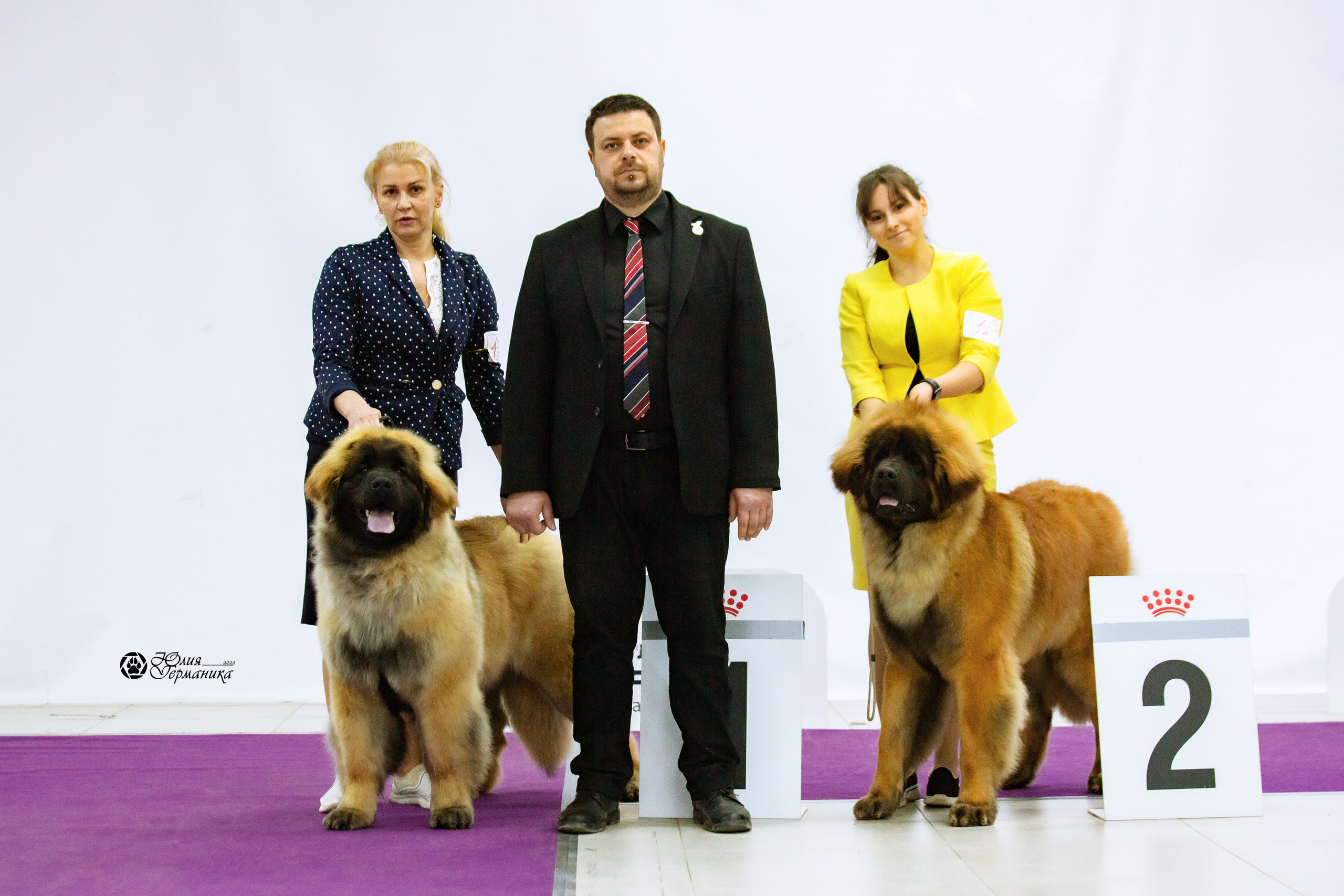 Чайна-Таун 13 и 20 марта 2022. Фотограф-анималист Юлия Германика