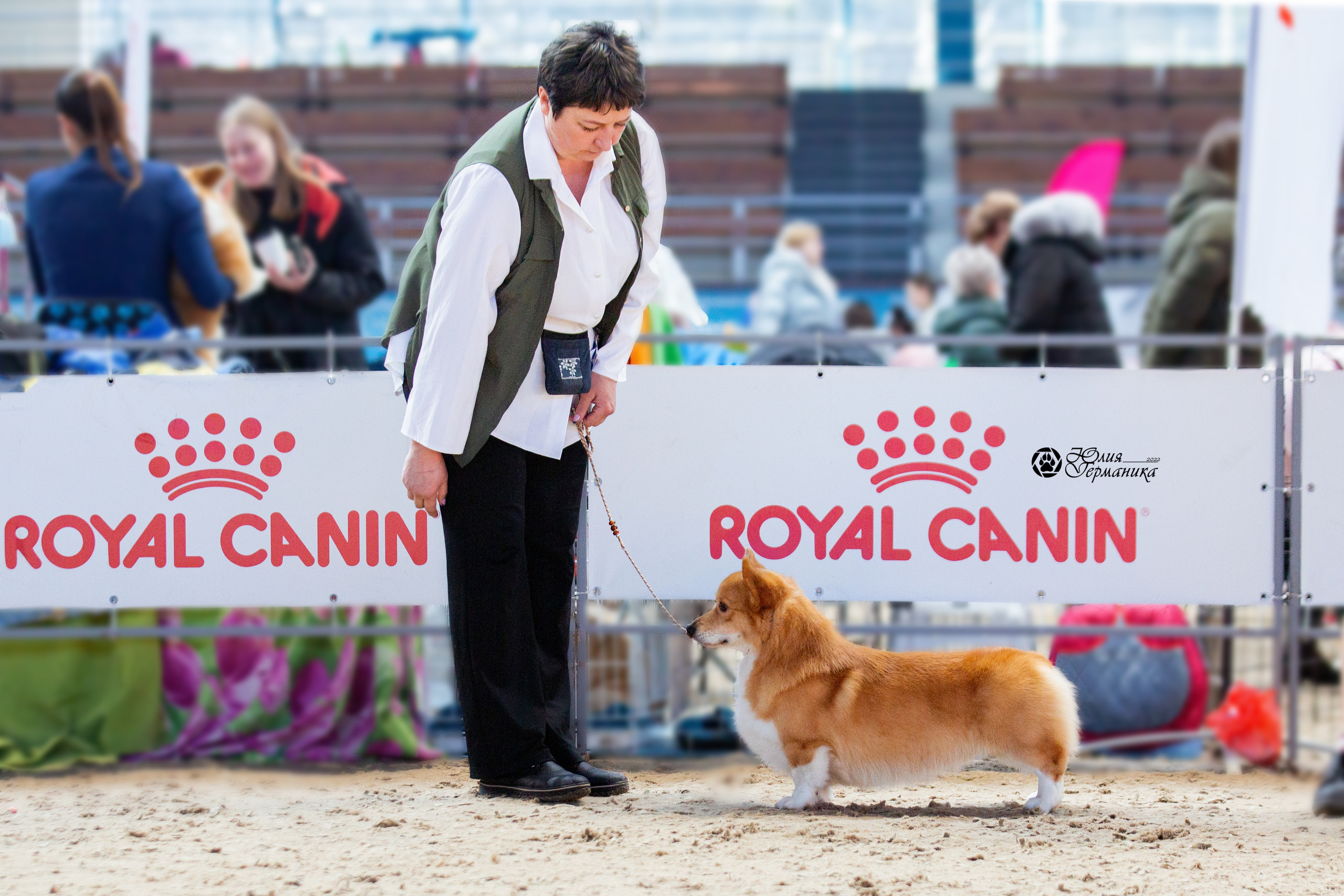 Минск 2хCACIB 5-6 марта 2022. Фотограф-анималист Юлия Германика