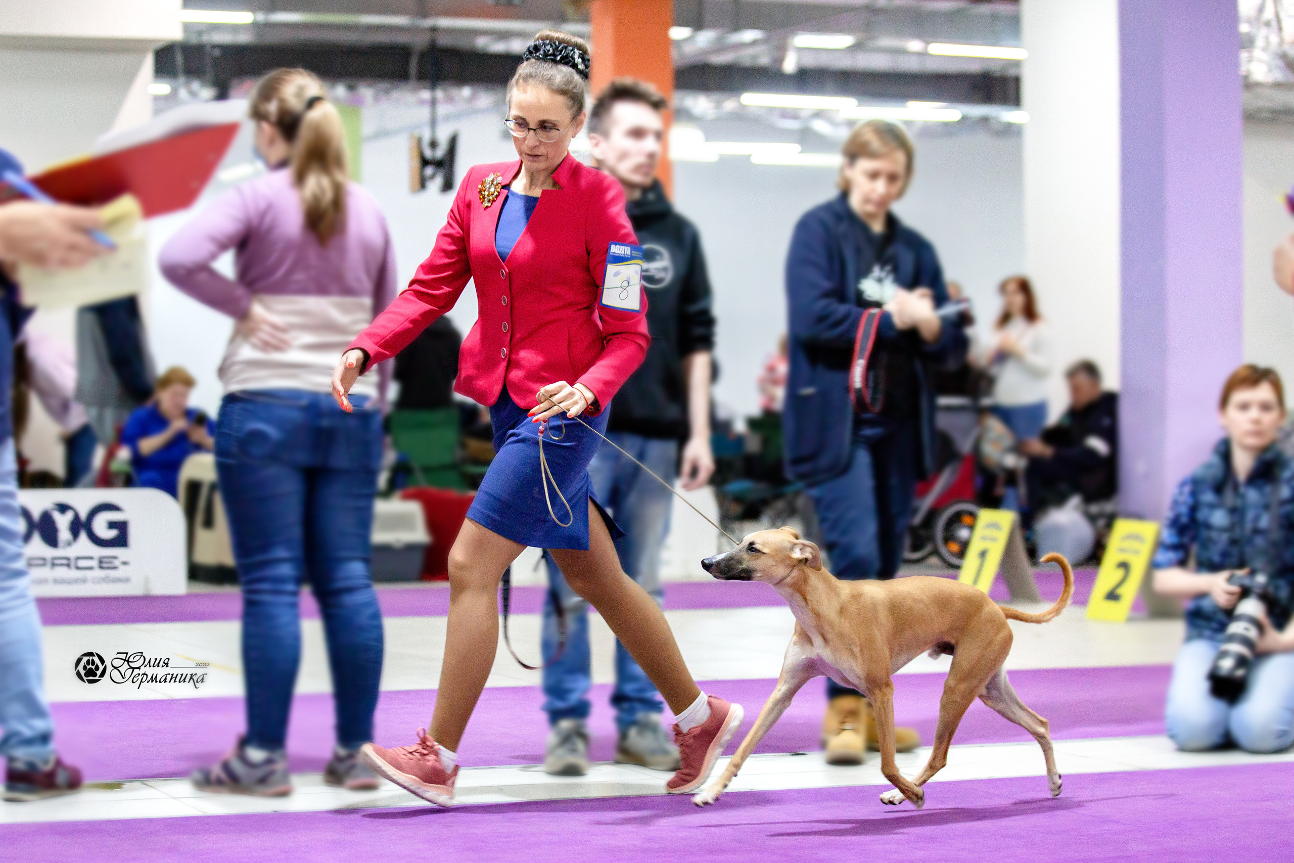 Чайна-Таун 13 и 20 марта 2022. Фотограф-анималист Юлия Германика