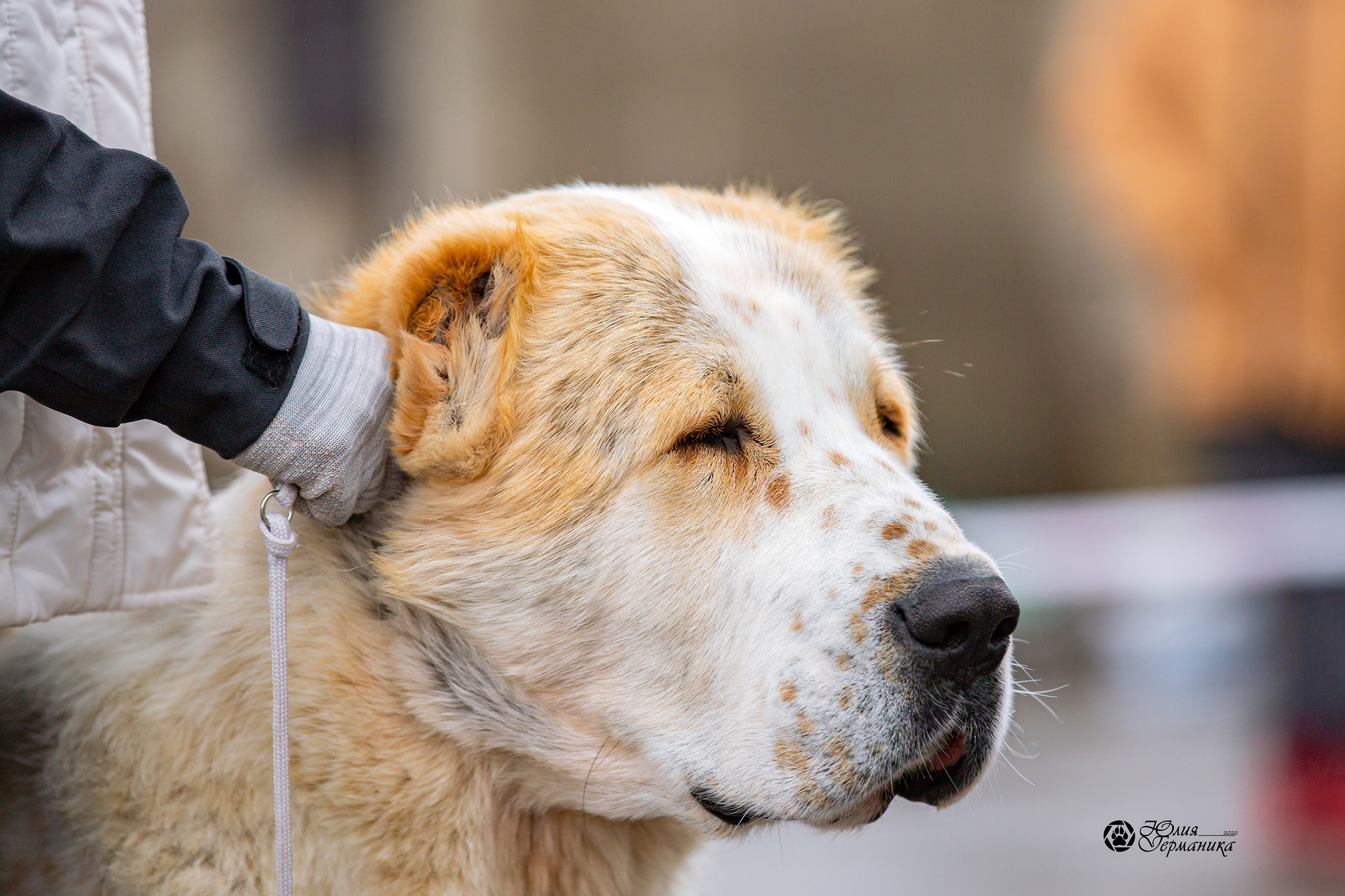 2хМОНО САО Рязань 02 апреля 2022. Фотограф-анималист Юлия Германика