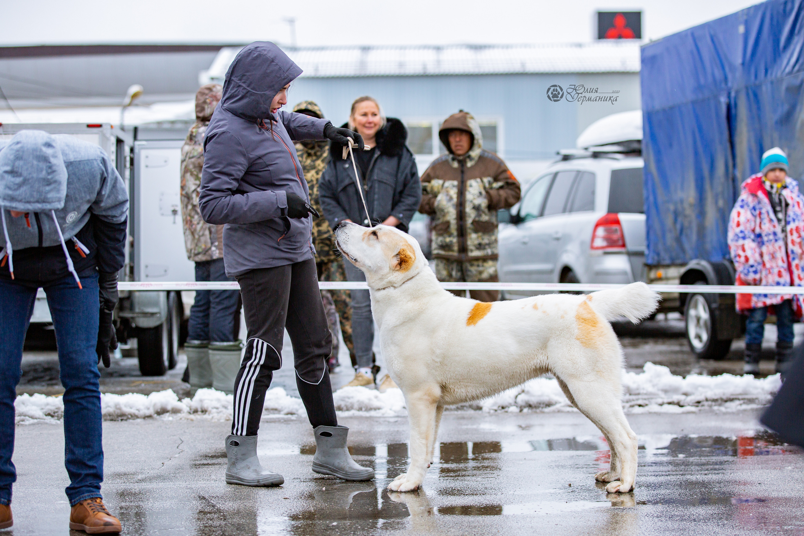 2хМОНО САО Рязань 02 апреля 2022. Фотограф-анималист Юлия Германика