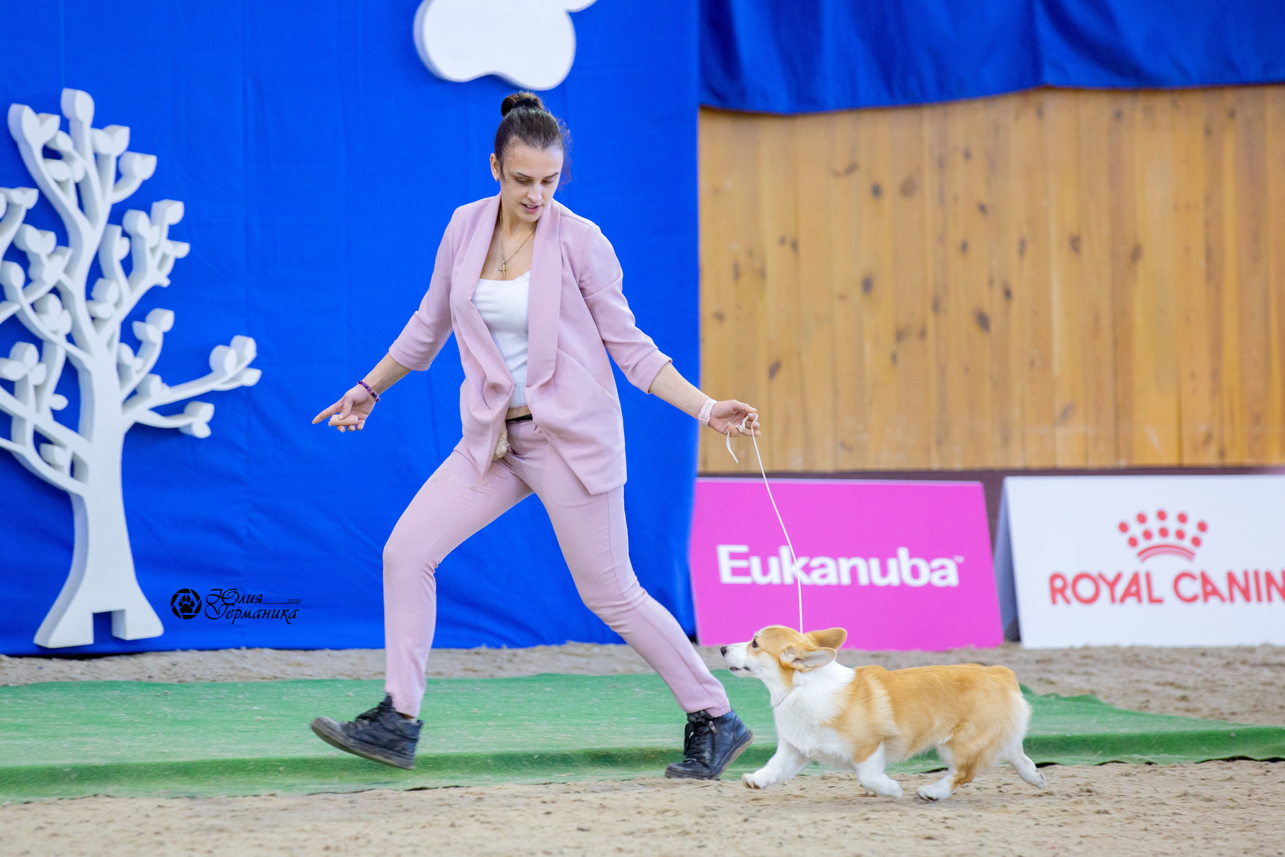 Минск 2хCACIB 5-6 марта 2022. Фотограф-анималист Юлия Германика