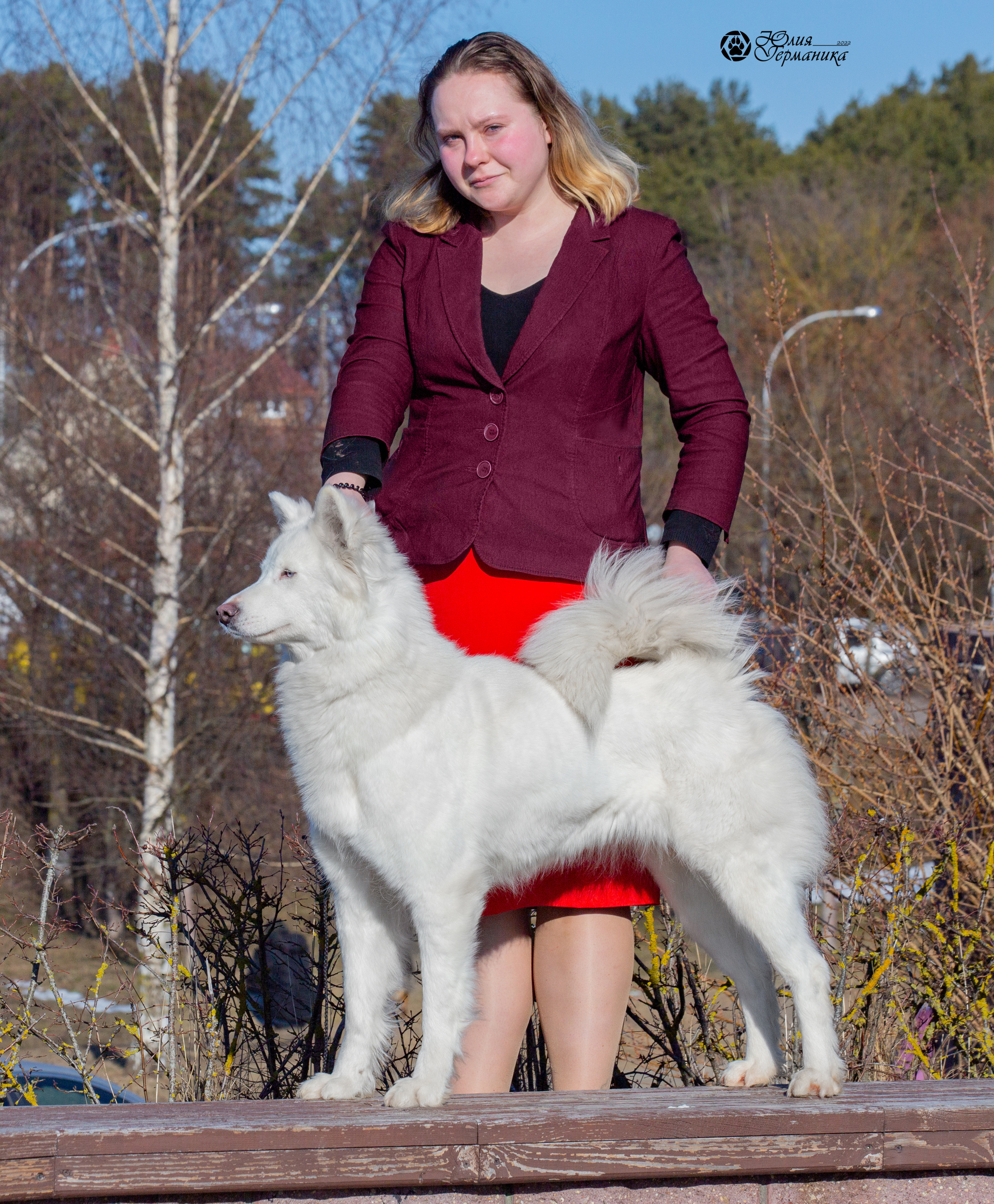 Минск 2хCACIB 5-6 марта 2022. Фотограф-анималист Юлия Германика