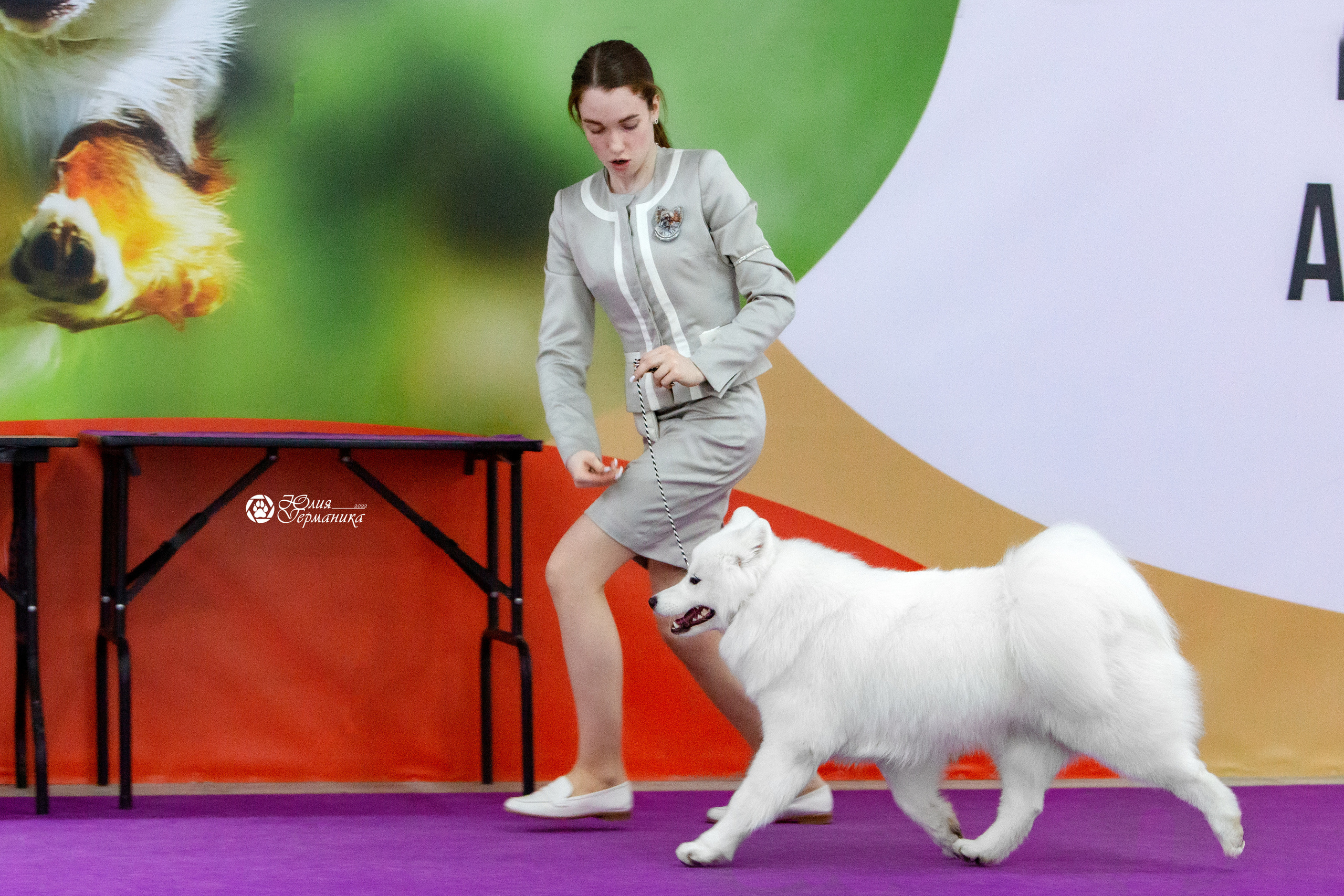 Чайна-Таун 8 января 2022. Фотограф-анималист Юлия Германика