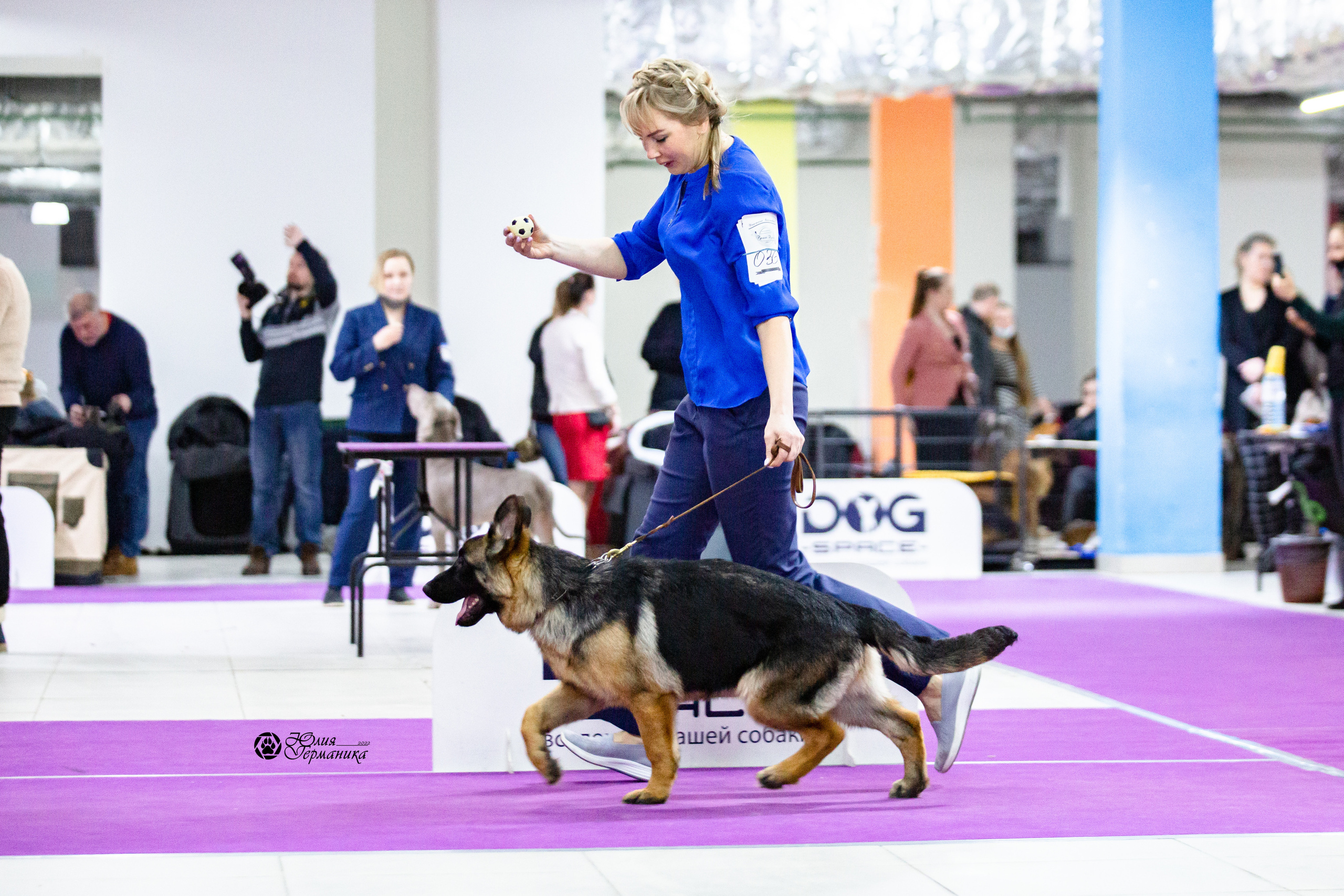 Чайна-Таун 12-13 февраля 2022. Фотограф-анималист Юлия Германика