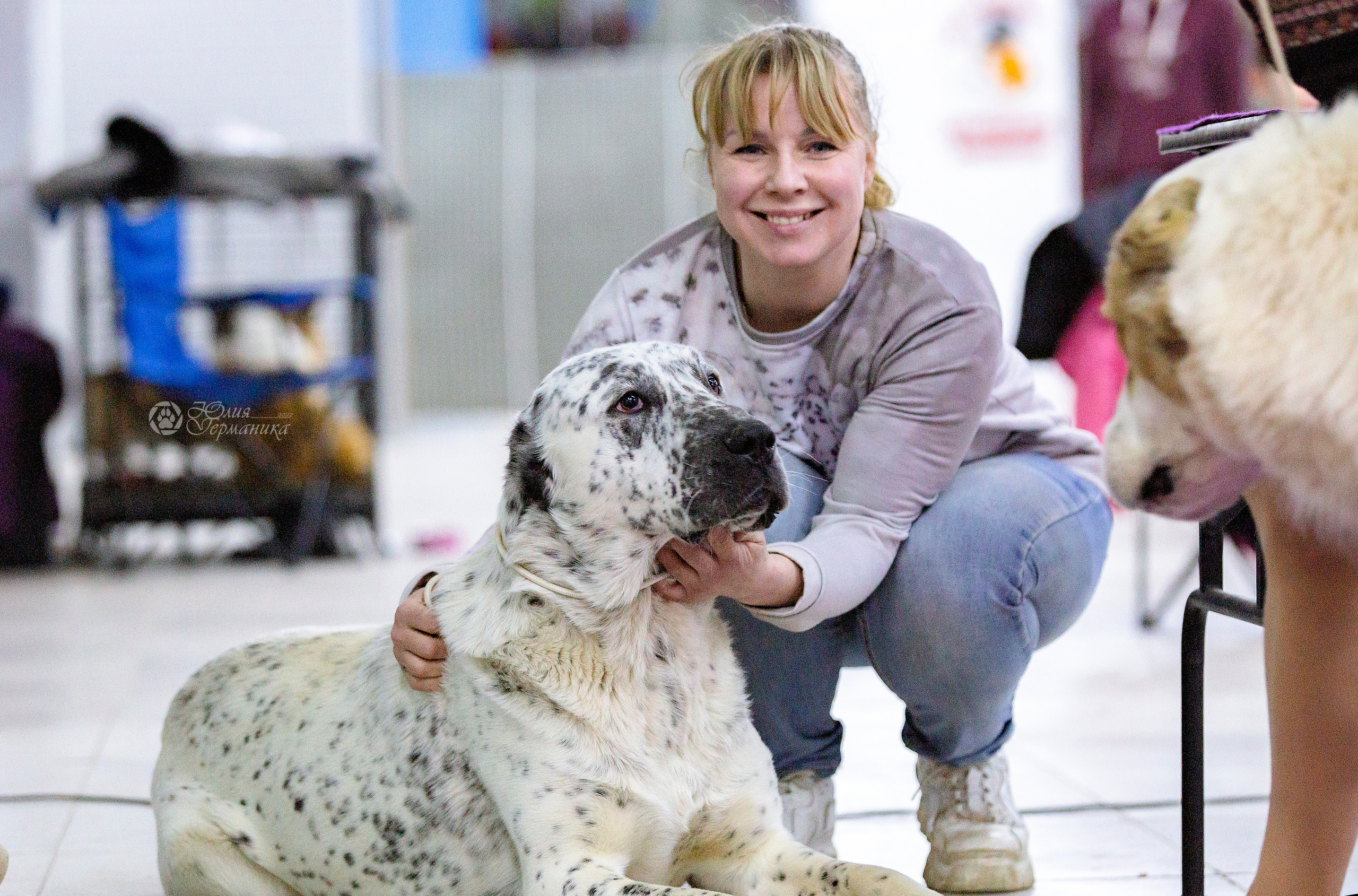 Чайна-Таун 24 и 27 марта 2022. Фотограф-анималист Юлия Германика