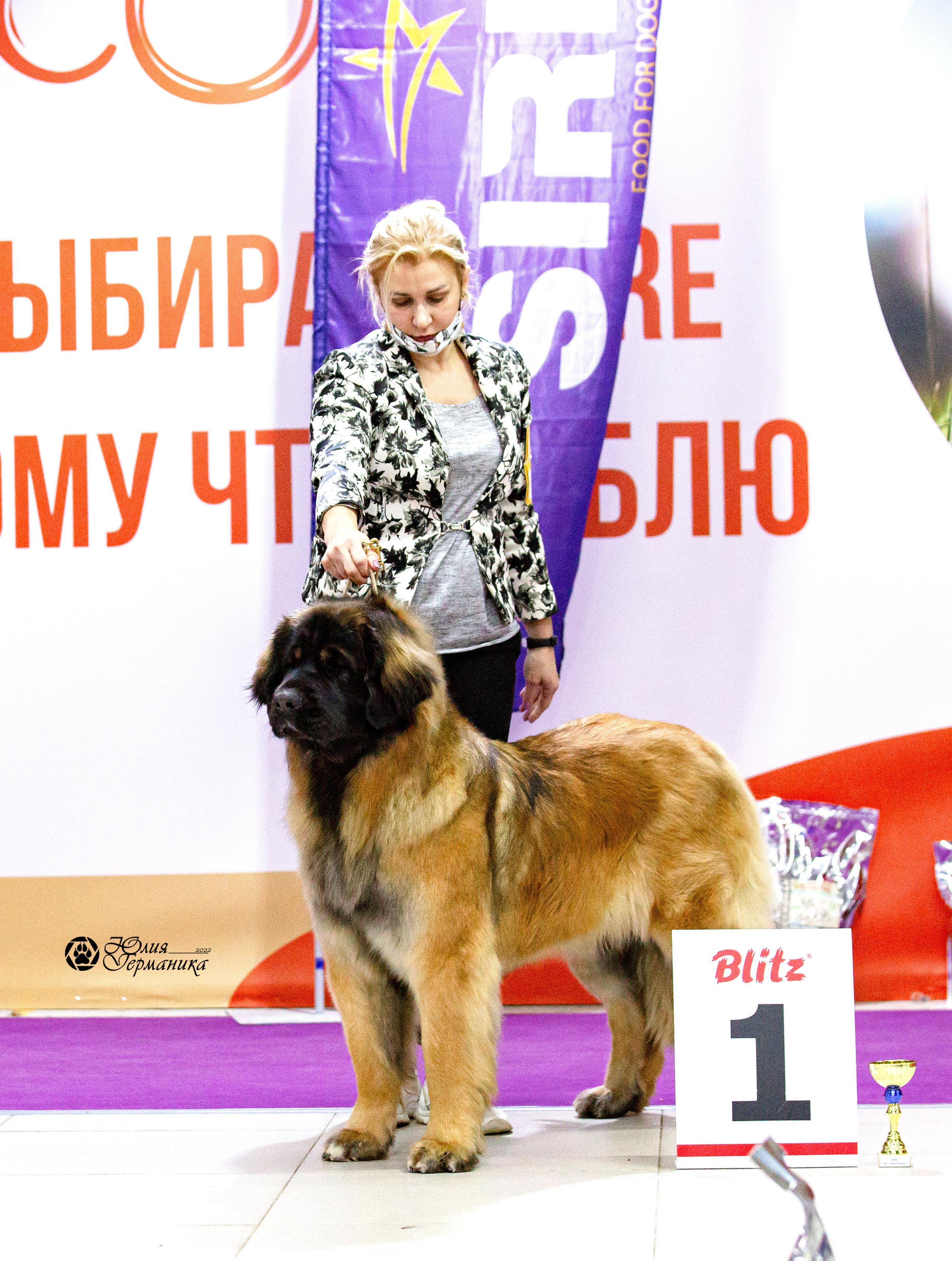 Чайна-Таун 29-30 января 2022. Фотограф-анималист Юлия Германика