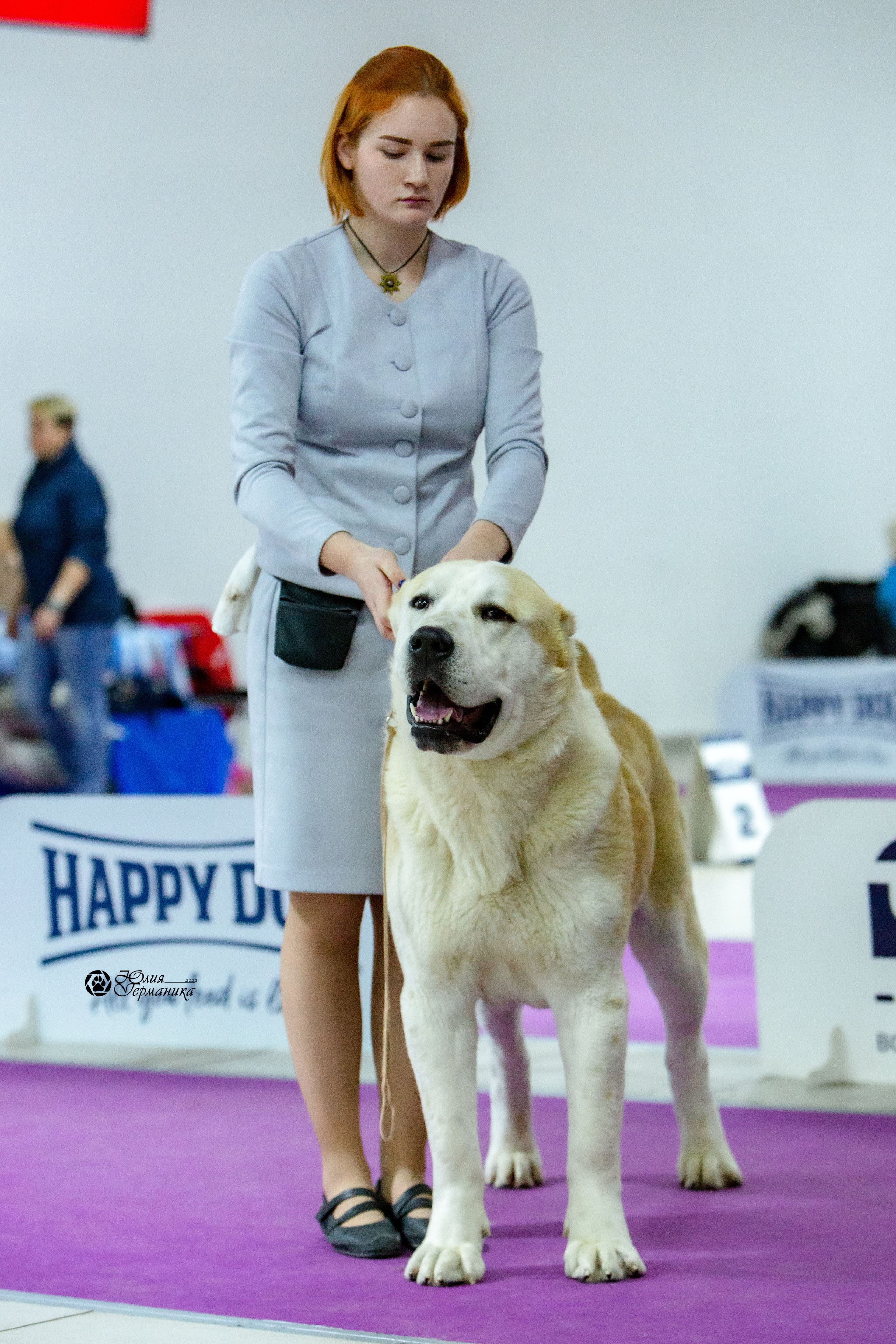 Чайна-Таун 8 января 2022. Фотограф-анималист Юлия Германика
