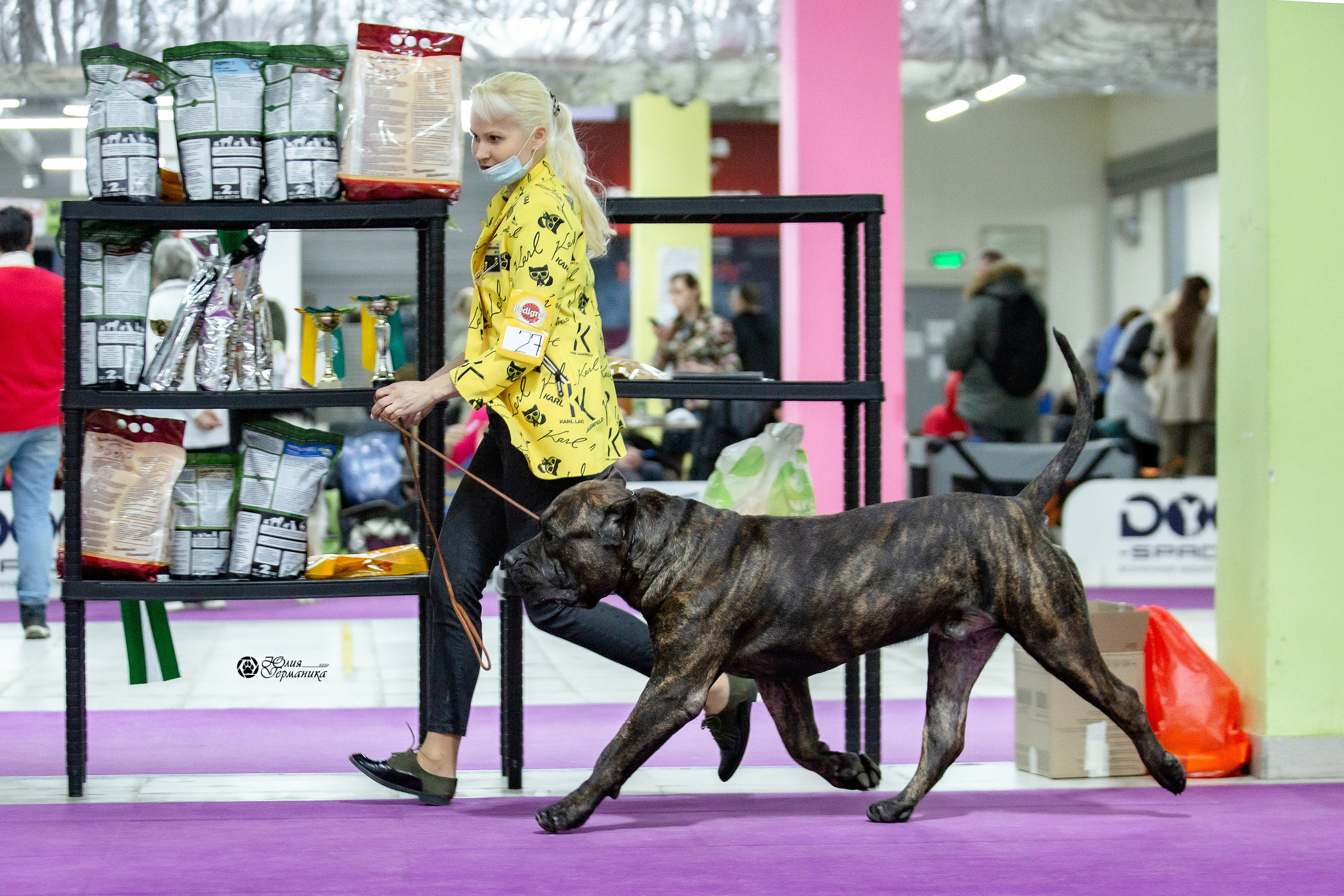 Чайна-Таун 29-30 января 2022. Фотограф-анималист Юлия Германика