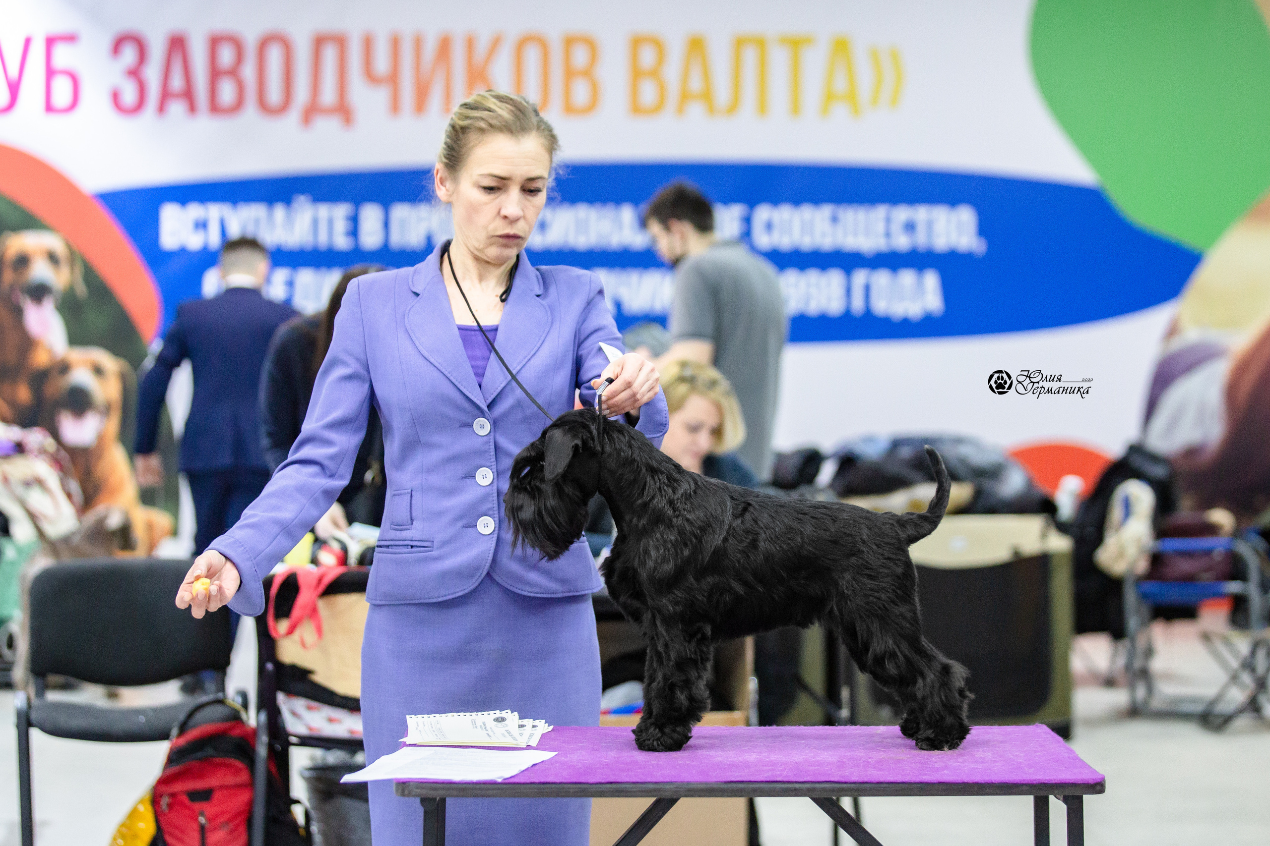 Чайна-Таун 12-13 февраля 2022. Фотограф-анималист Юлия Германика