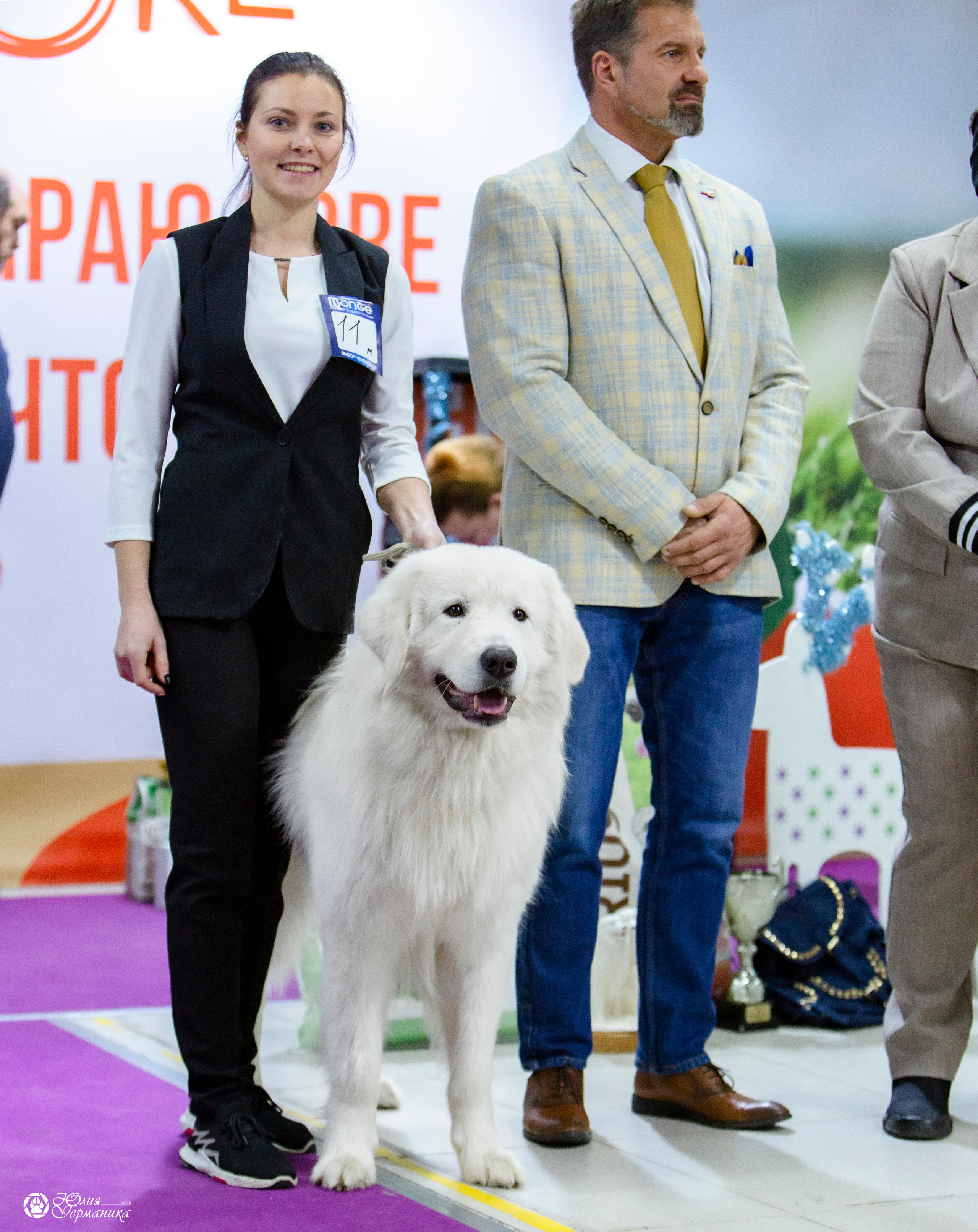 Чайна-Таун 18,26 и 29 декабря 2021. Фотограф-анималист Юлия Германика