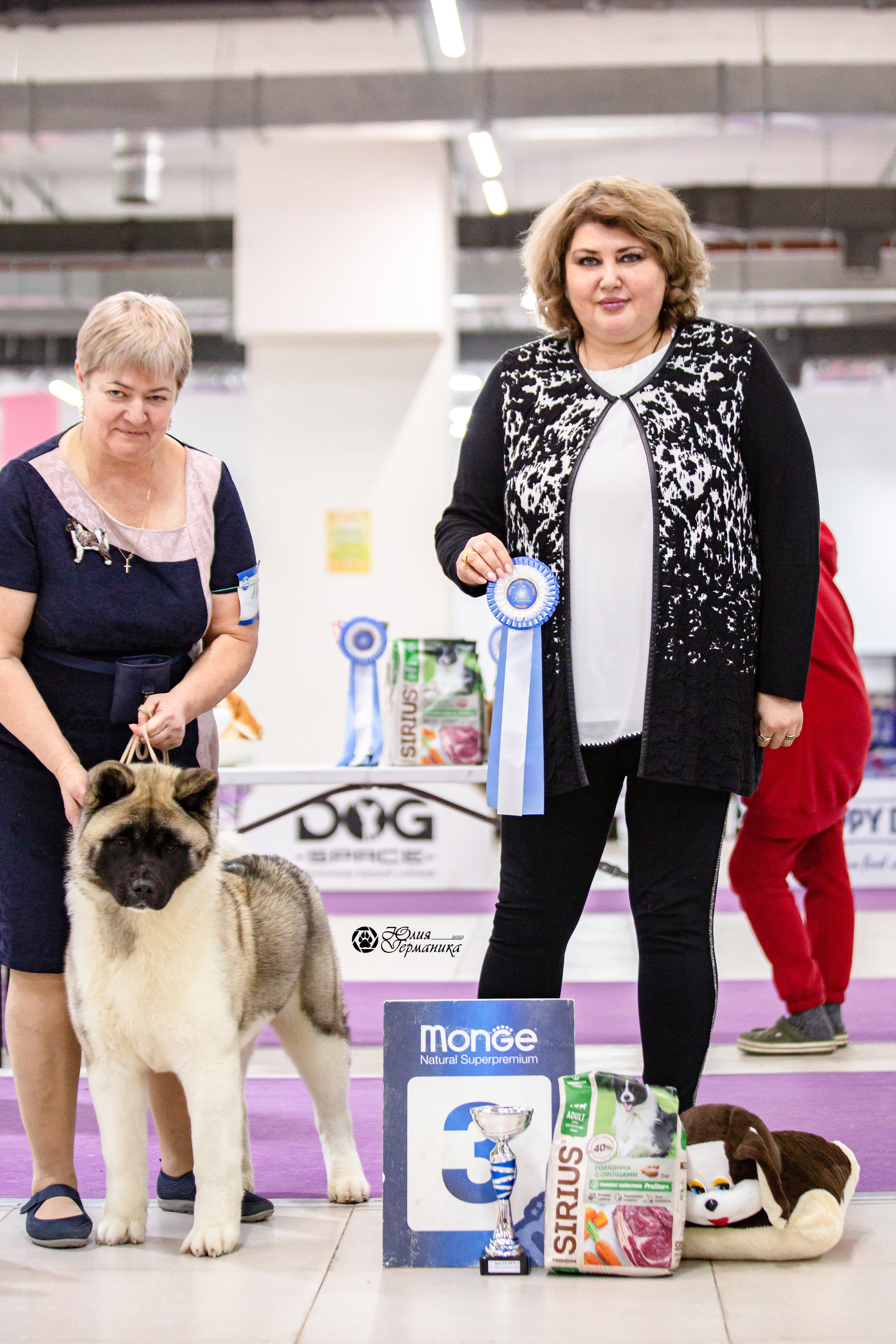 Чайна-Таун 29-30 января 2022. Фотограф-анималист Юлия Германика