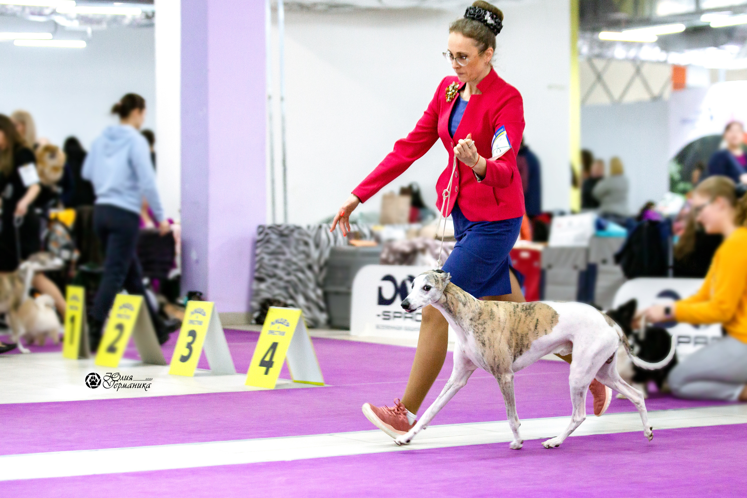 Чайна-Таун 13 и 20 марта 2022. Фотограф-анималист Юлия Германика