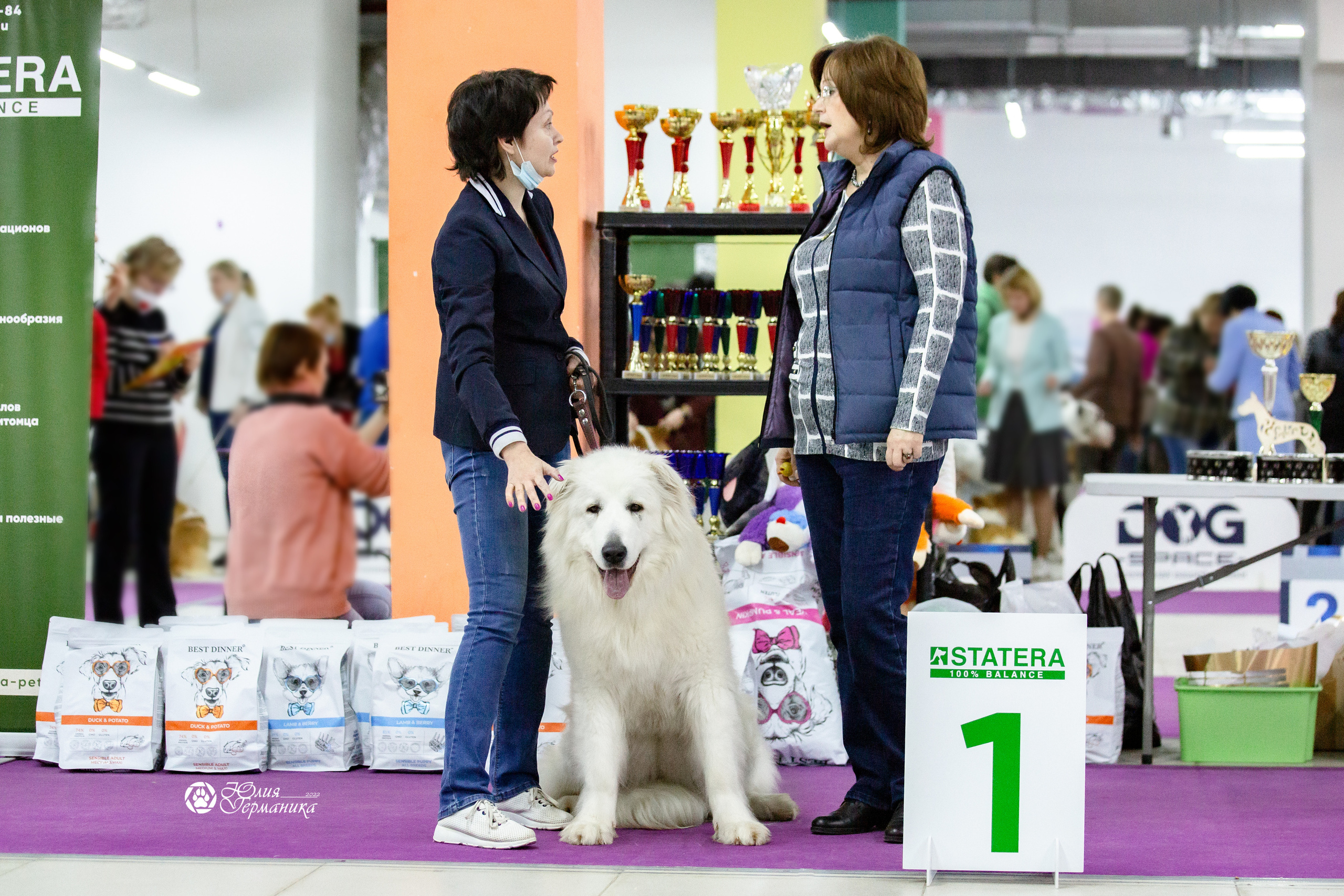 Чайна-Таун 23 февраля 2022. Фотограф-анималист Юлия Германика