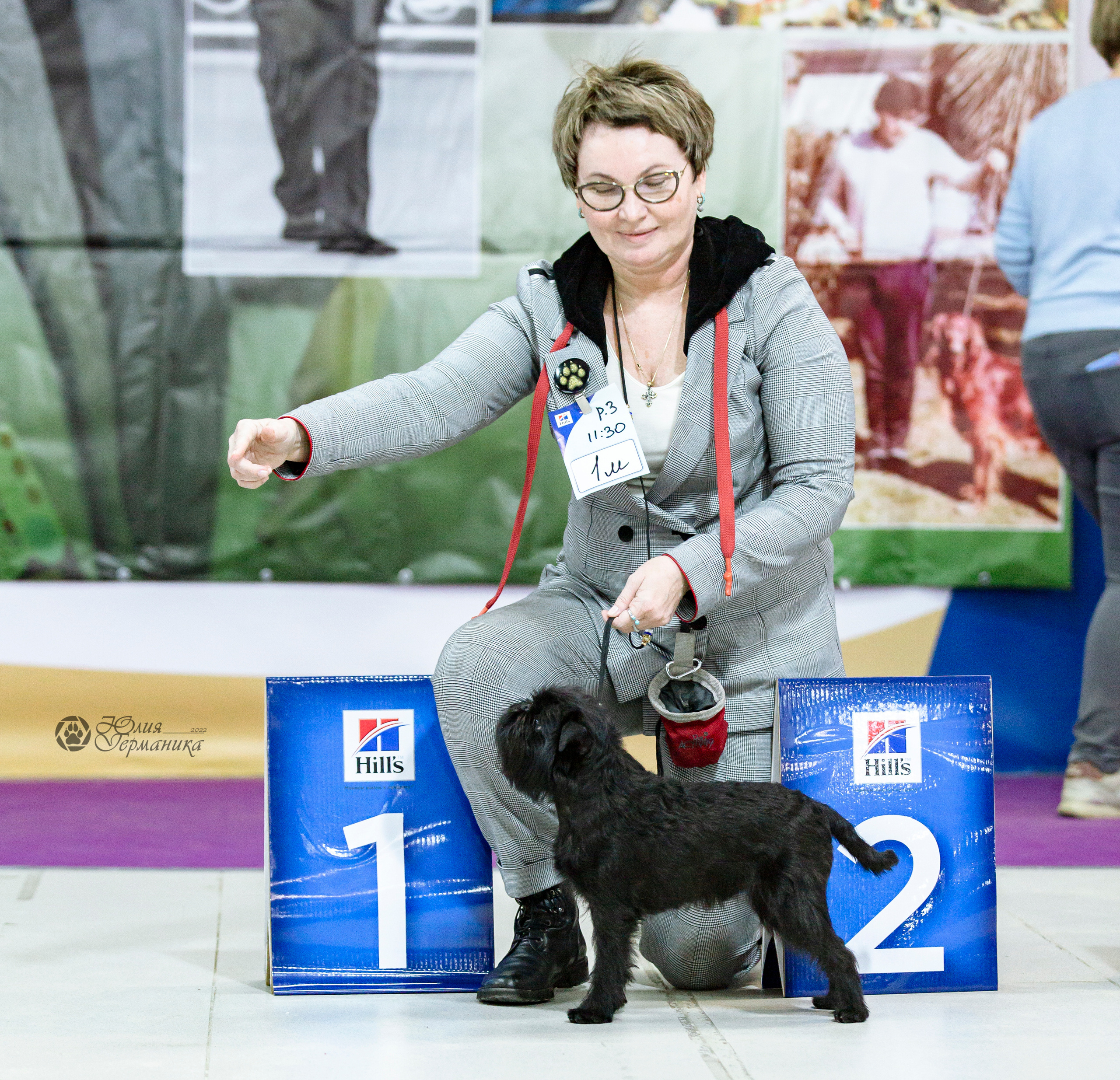Чайна-Таун 24 и 27 марта 2022. Фотограф-анималист Юлия Германика