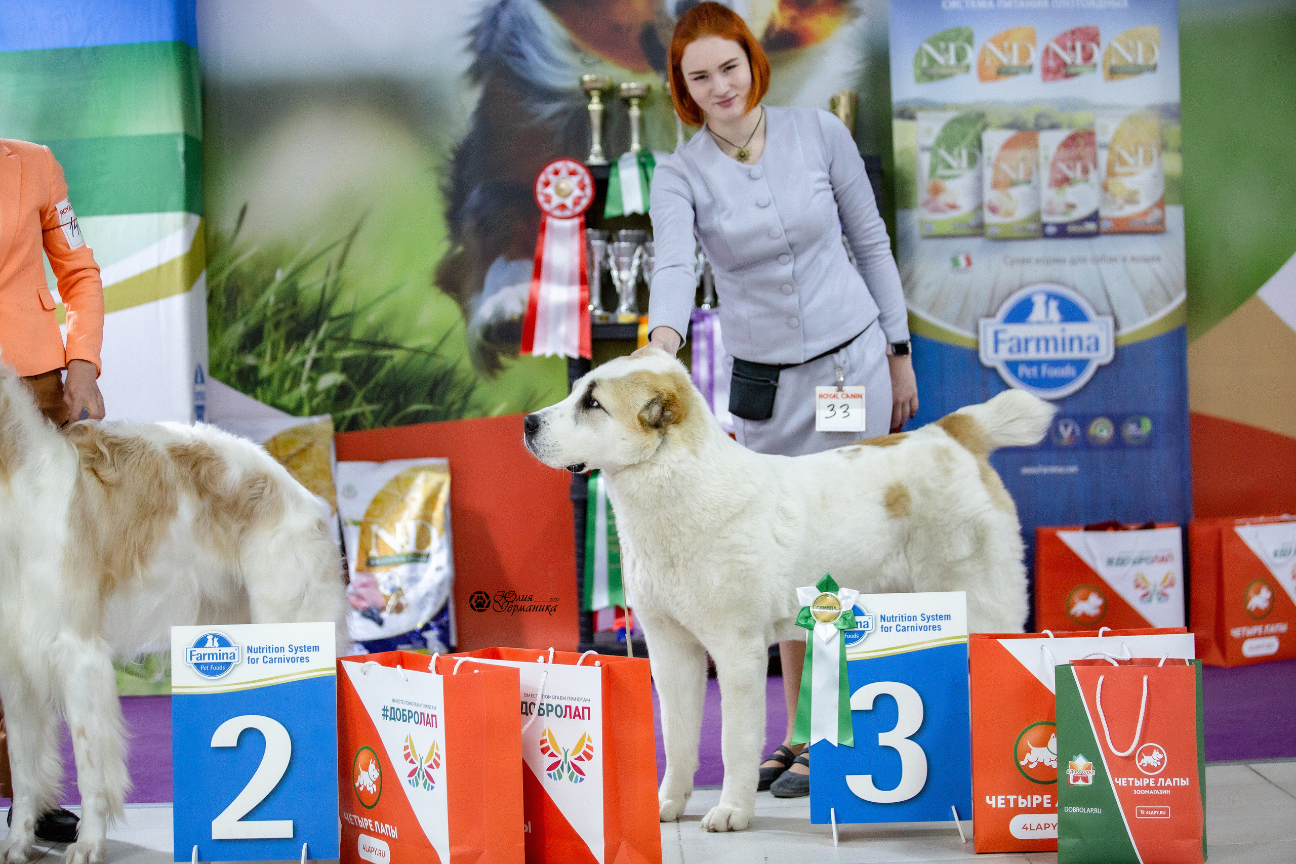 Чайна-Таун 29-30 января 2022. Фотограф-анималист Юлия Германика