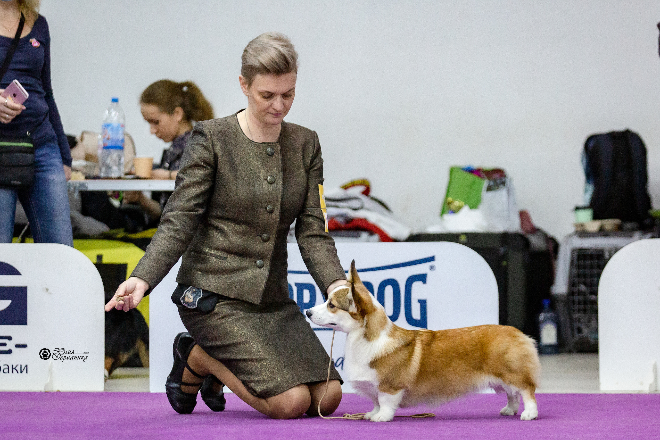 Чайна-Таун 29-30 января 2022. Фотограф-анималист Юлия Германика