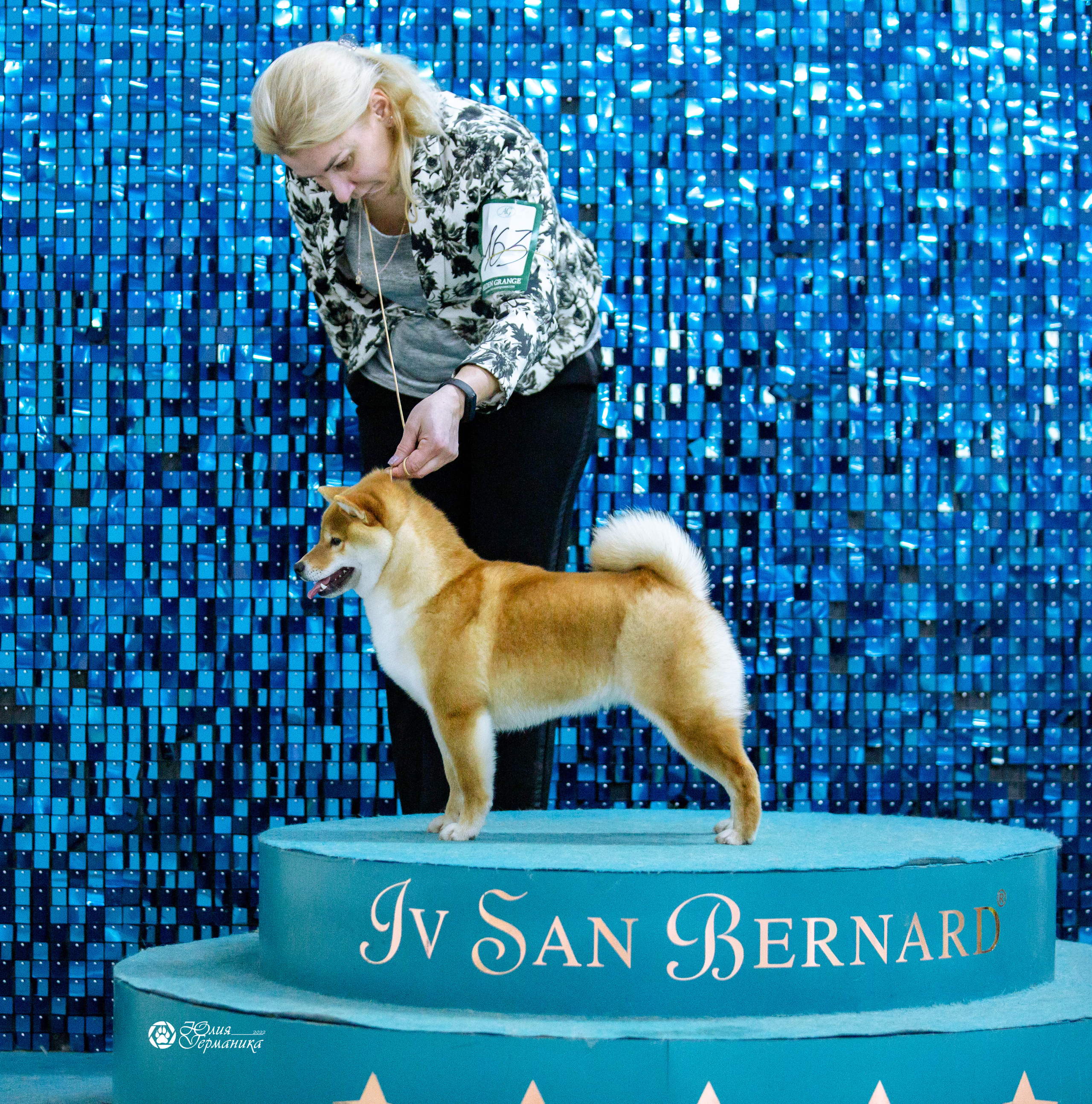 Чайна-Таун 23 февраля 2022. Фотограф-анималист Юлия Германика