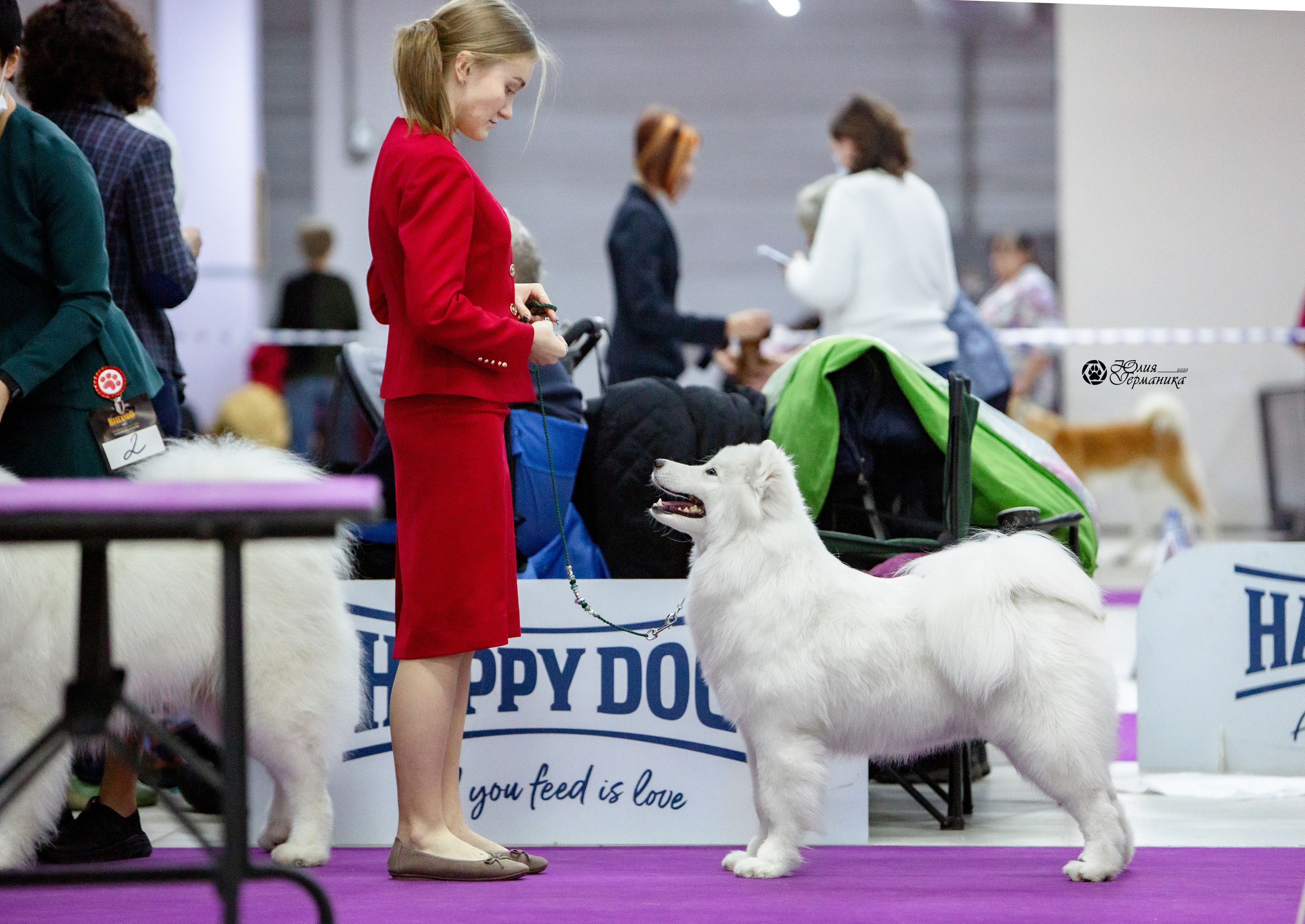 Чайна-Таун 8 января 2022. Фотограф-анималист Юлия Германика