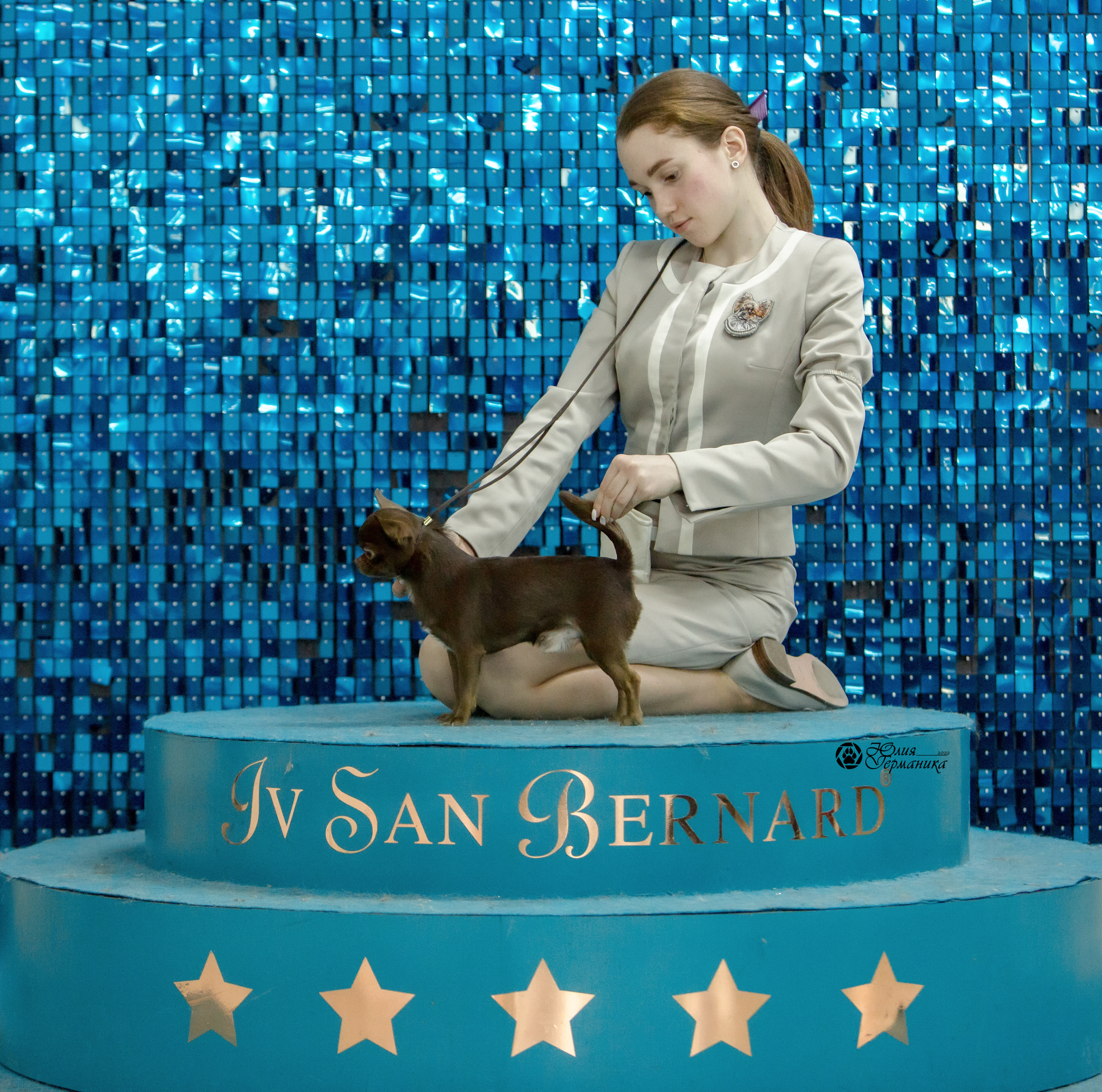 Чайна-Таун 8 января 2022. Фотограф-анималист Юлия Германика